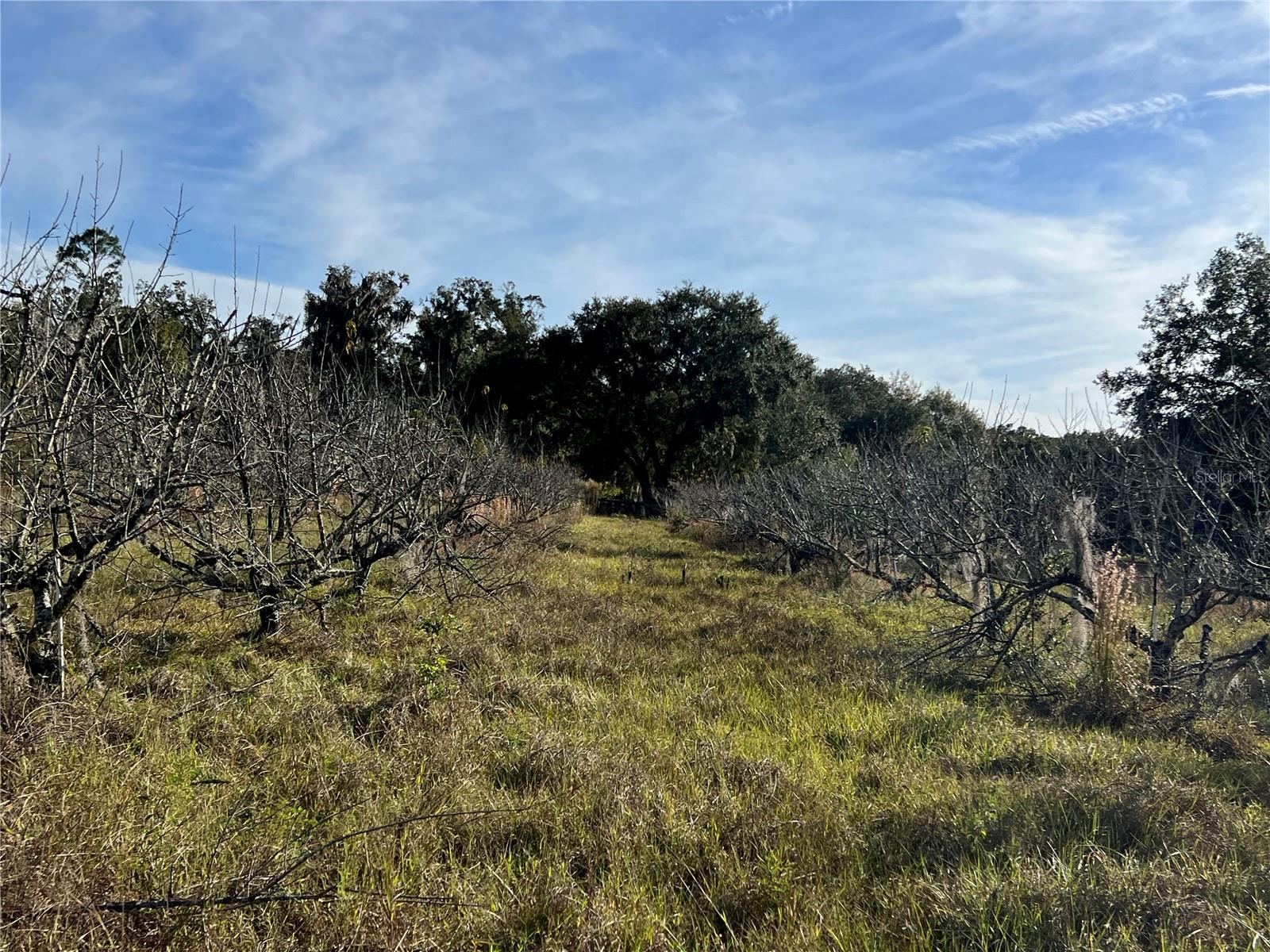 18250 RAVENSWOOD RD, ALTOONA, FL — photo 41