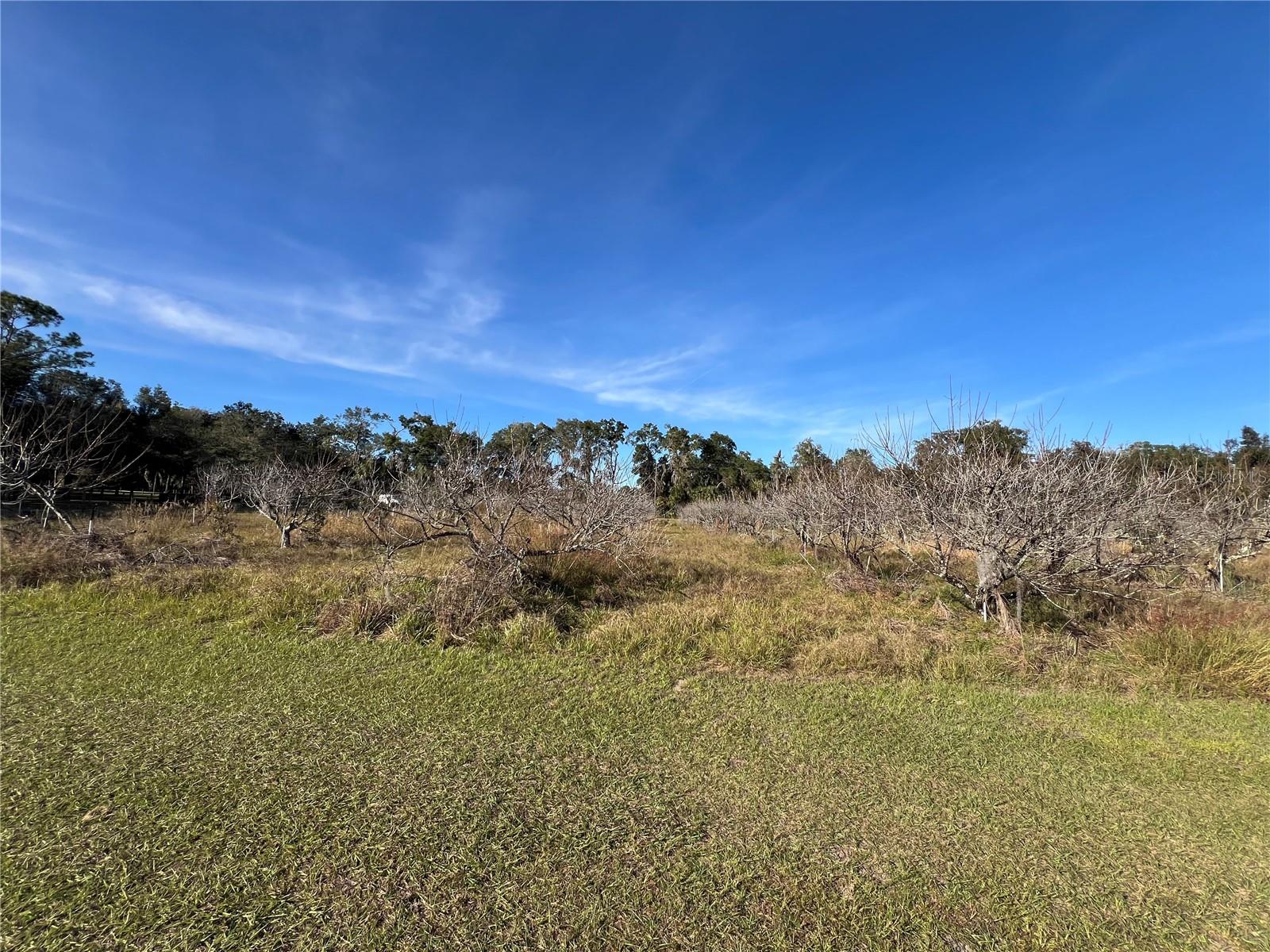 18250 RAVENSWOOD RD, ALTOONA, FL — photo 46