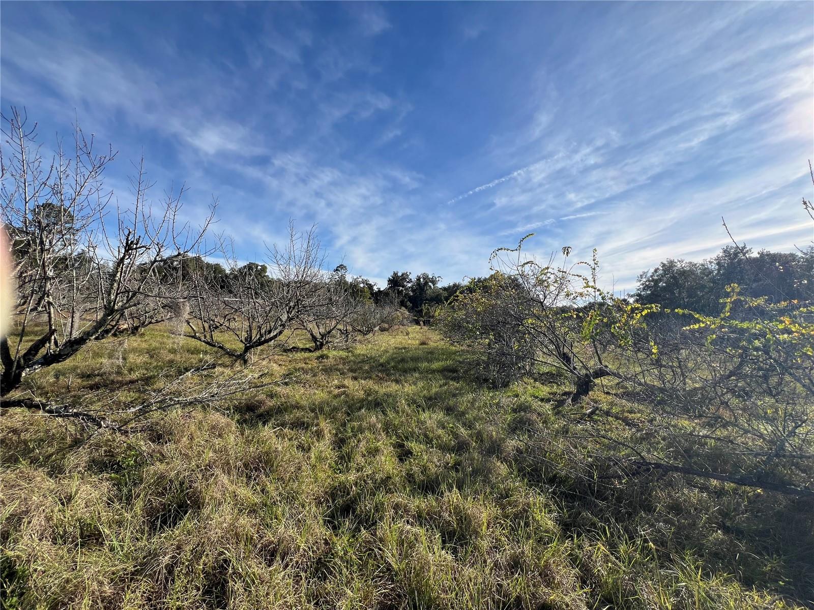 18250 RAVENSWOOD RD, ALTOONA, FL — photo 47