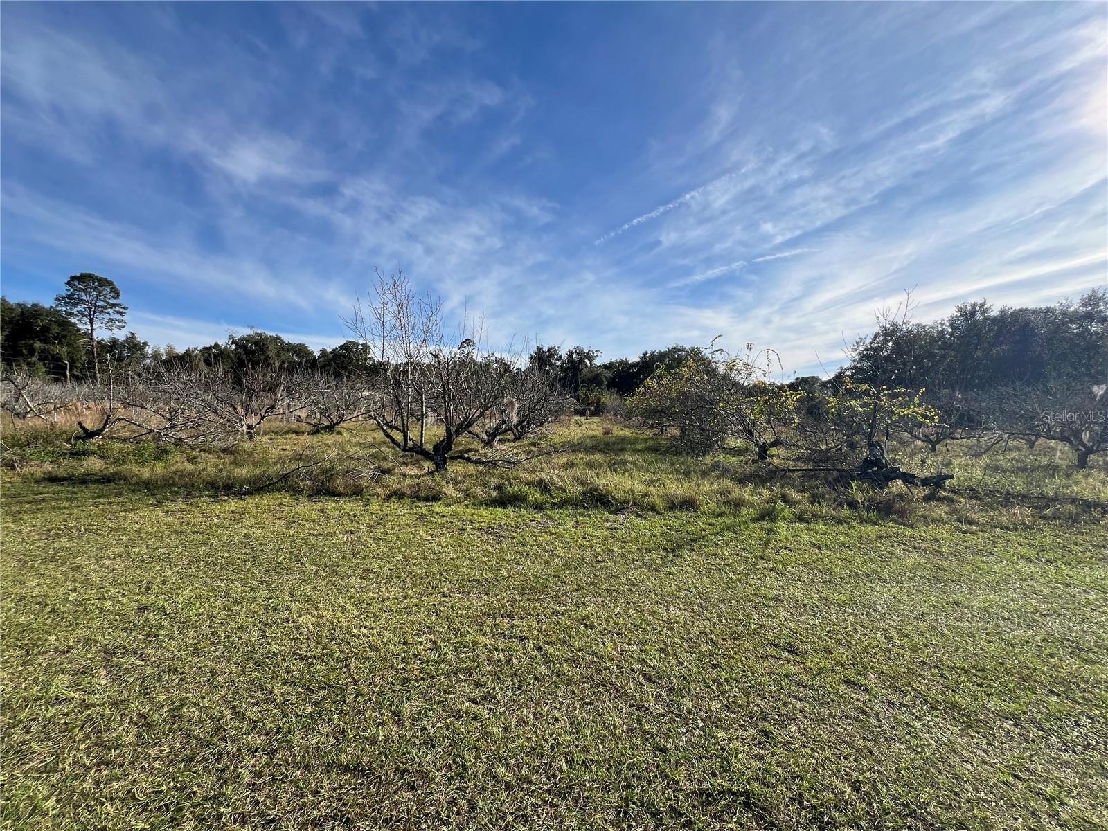 18250 RAVENSWOOD RD, ALTOONA, FL — photo 50