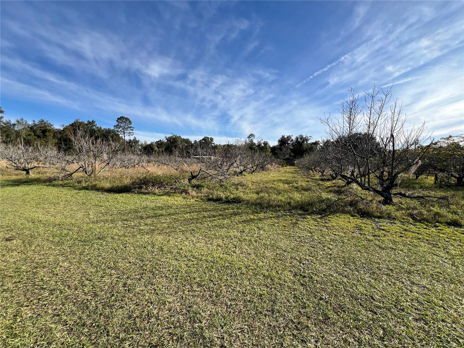 18250 RAVENSWOOD RD, ALTOONA, FL — photo 53