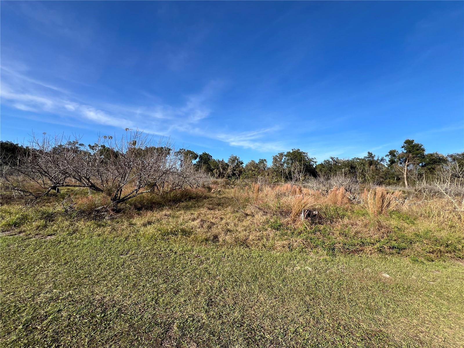18250 RAVENSWOOD RD, ALTOONA, FL — photo 60