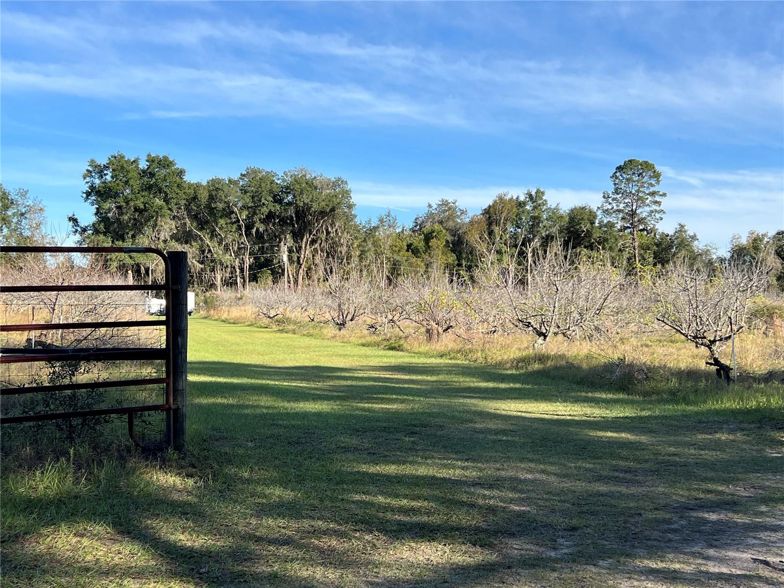 18250 RAVENSWOOD RD, ALTOONA, FL — photo 64
