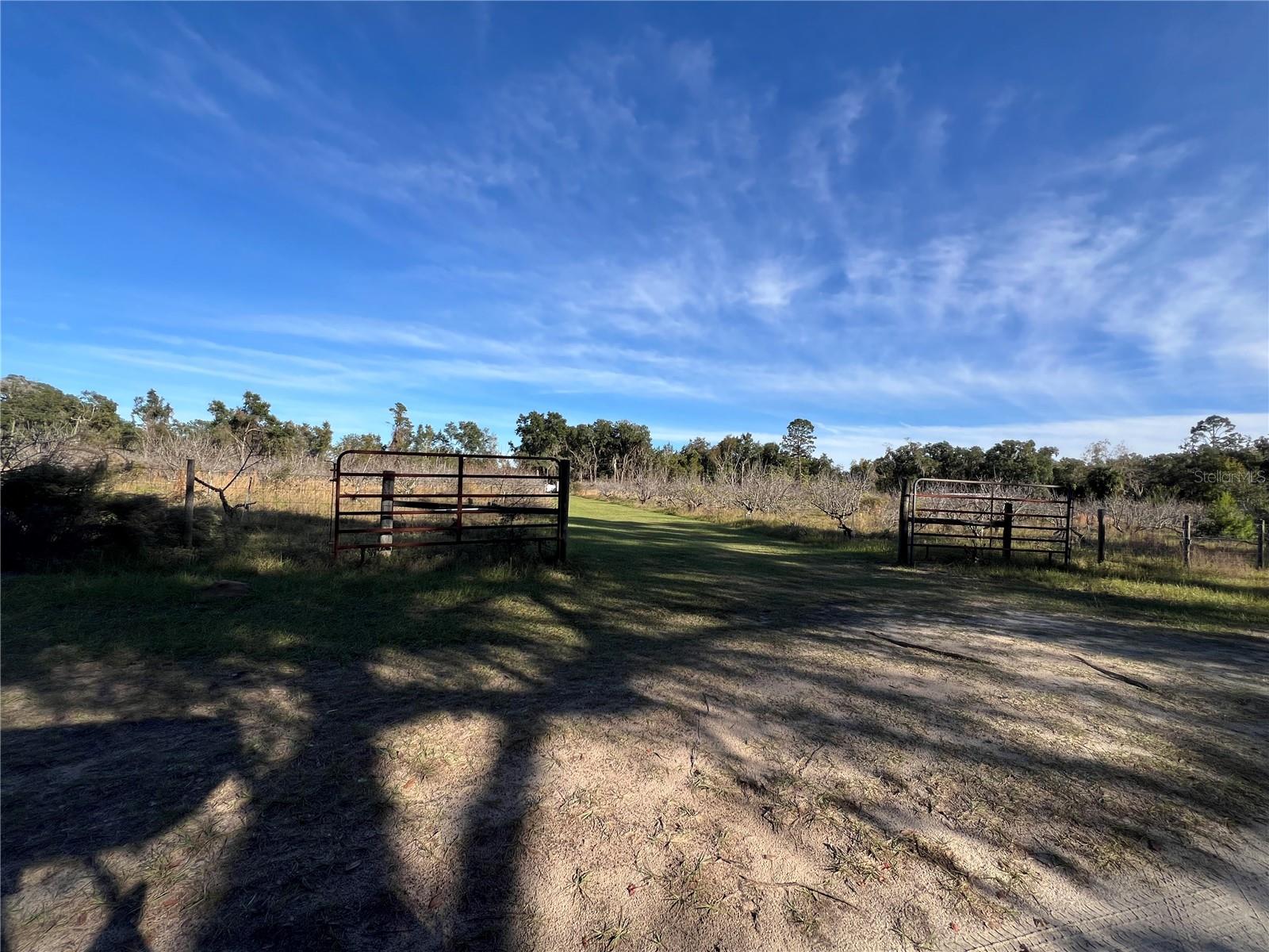 18250 RAVENSWOOD RD, ALTOONA, FL — photo 65