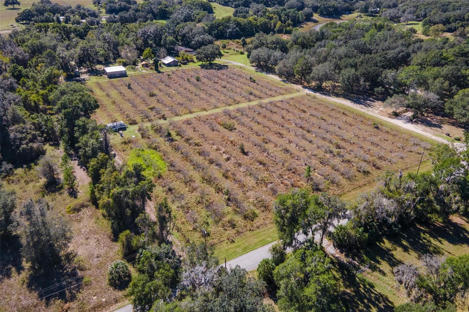 18250 RAVENSWOOD RD, ALTOONA, FL — photo 68