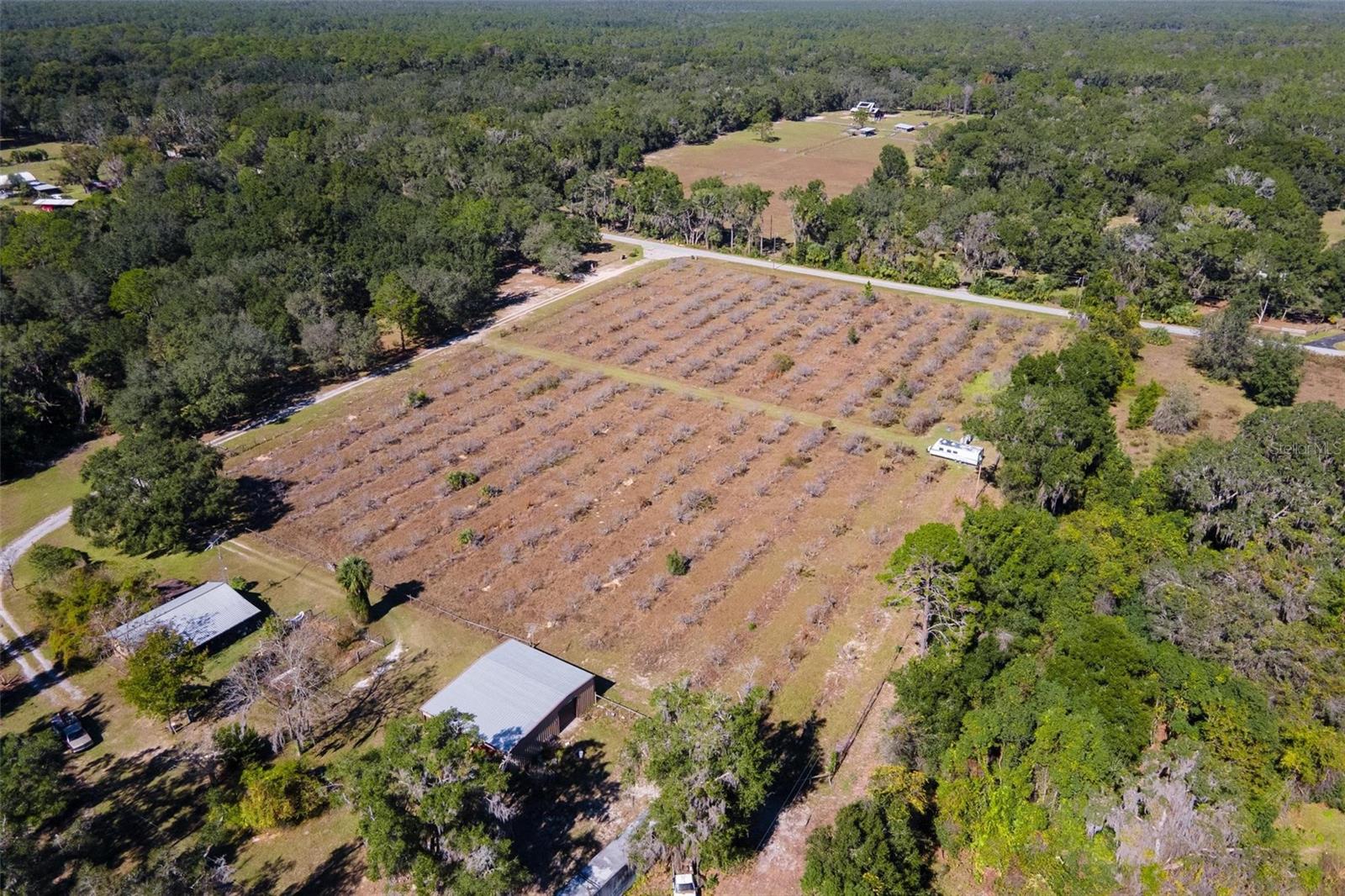 18250 RAVENSWOOD RD, ALTOONA, FL — photo 69