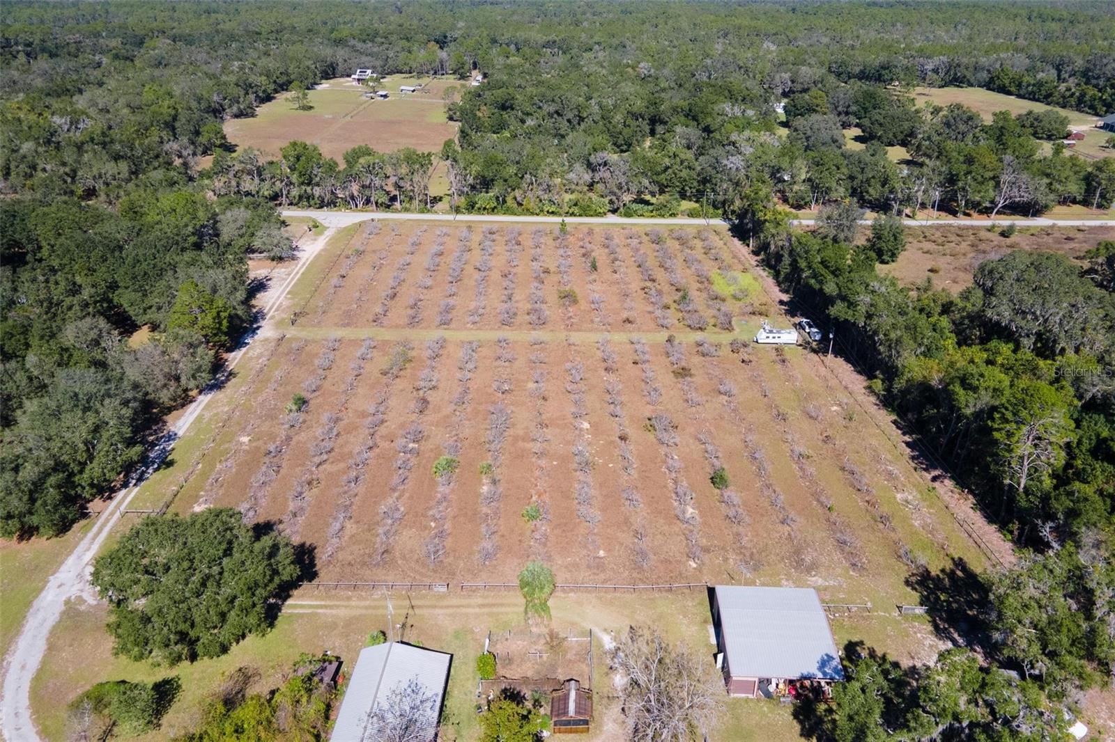 18250 RAVENSWOOD RD, ALTOONA, FL — photo 72