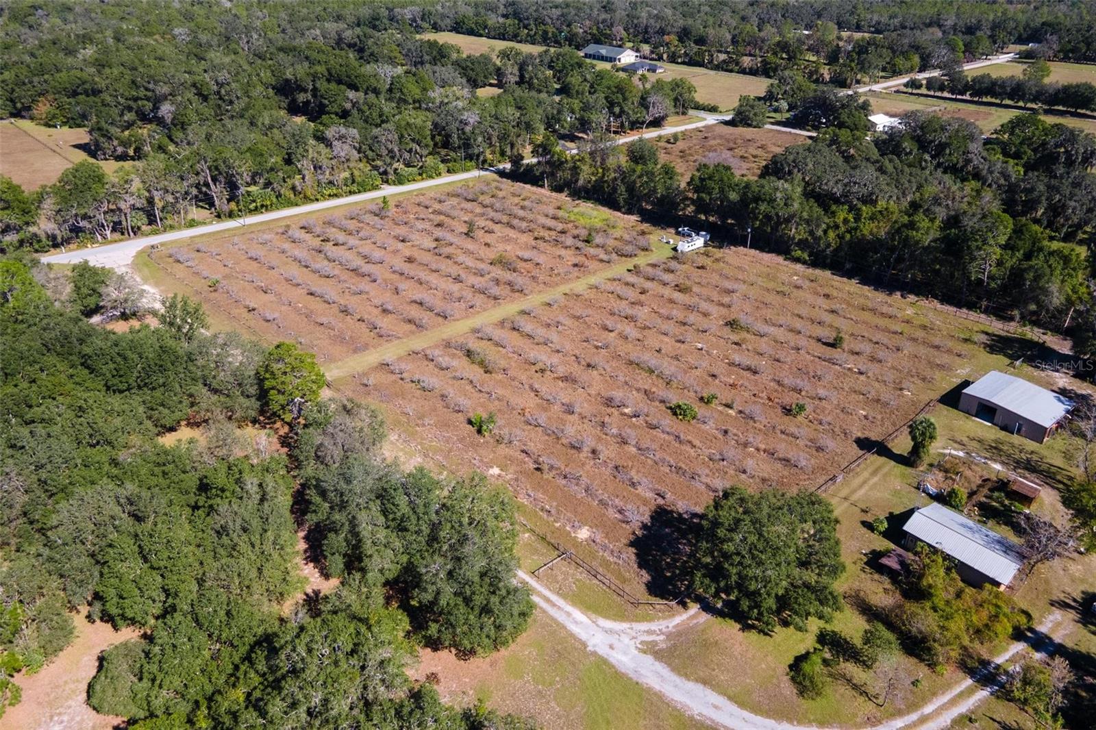18250 RAVENSWOOD RD, ALTOONA, FL — photo 75