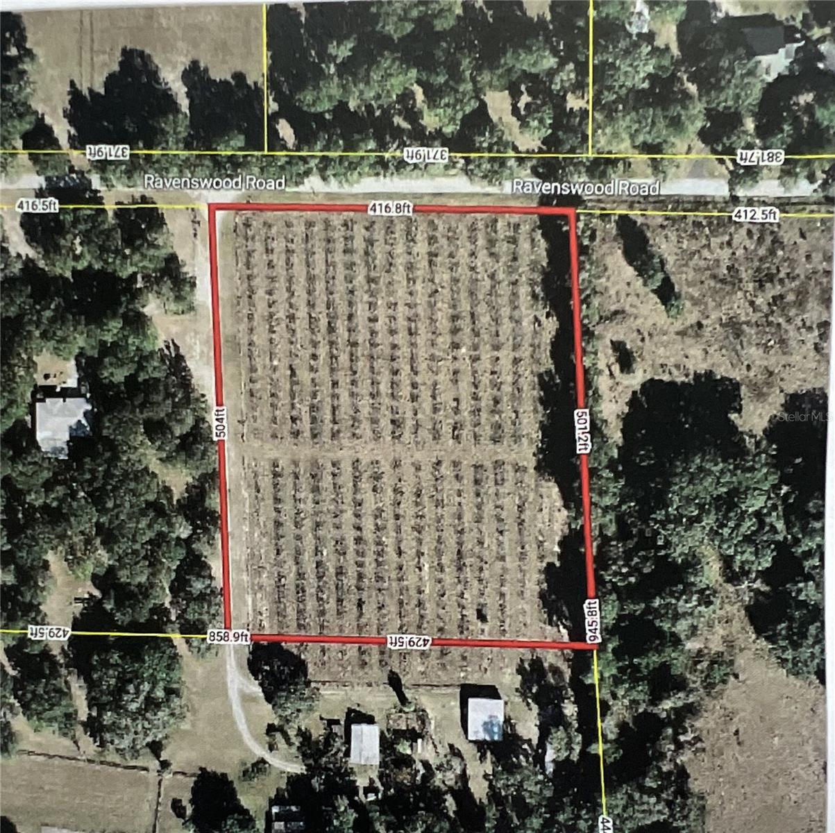 18250 RAVENSWOOD RD, ALTOONA, FL — photo 89