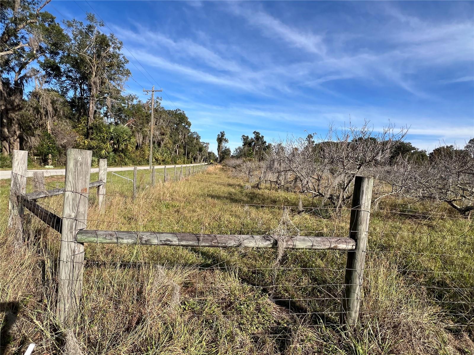 18250 RAVENSWOOD RD, ALTOONA, FL — photo 16