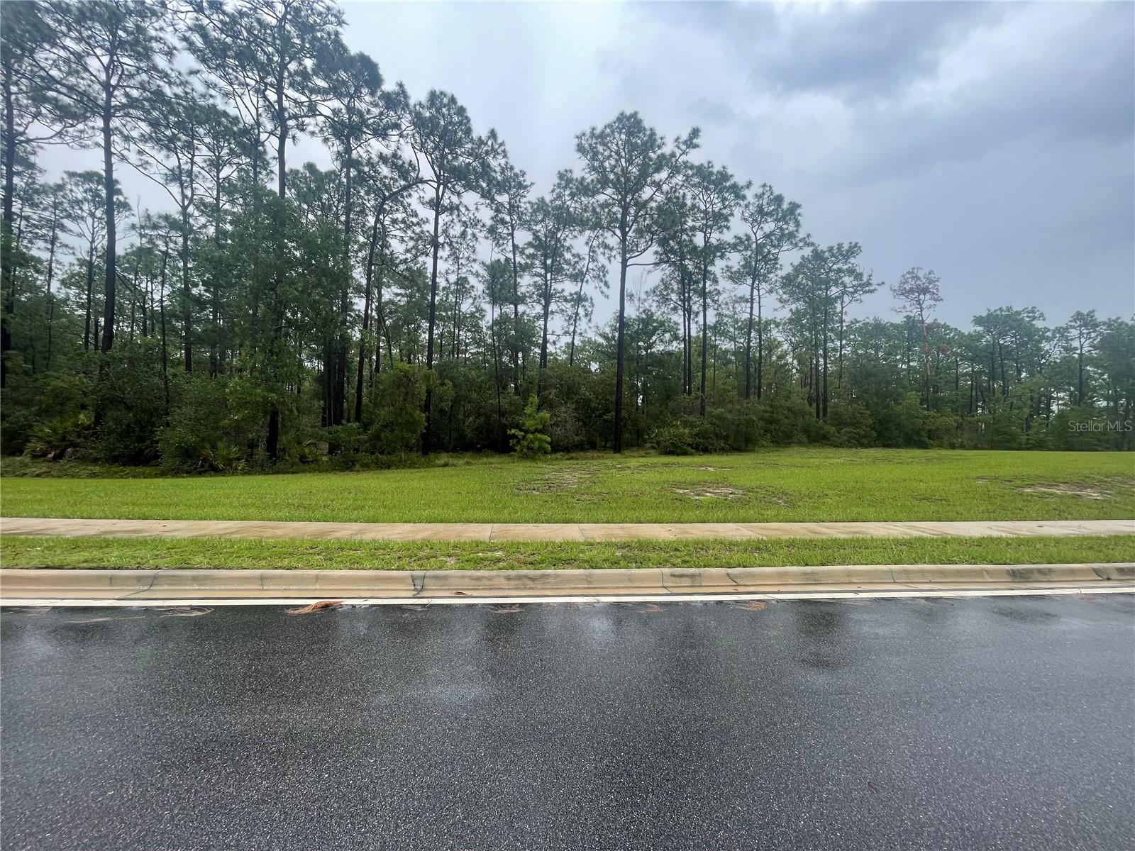 VIRGINIA (PAPER) AVE, DELTONA, FL — photo 2