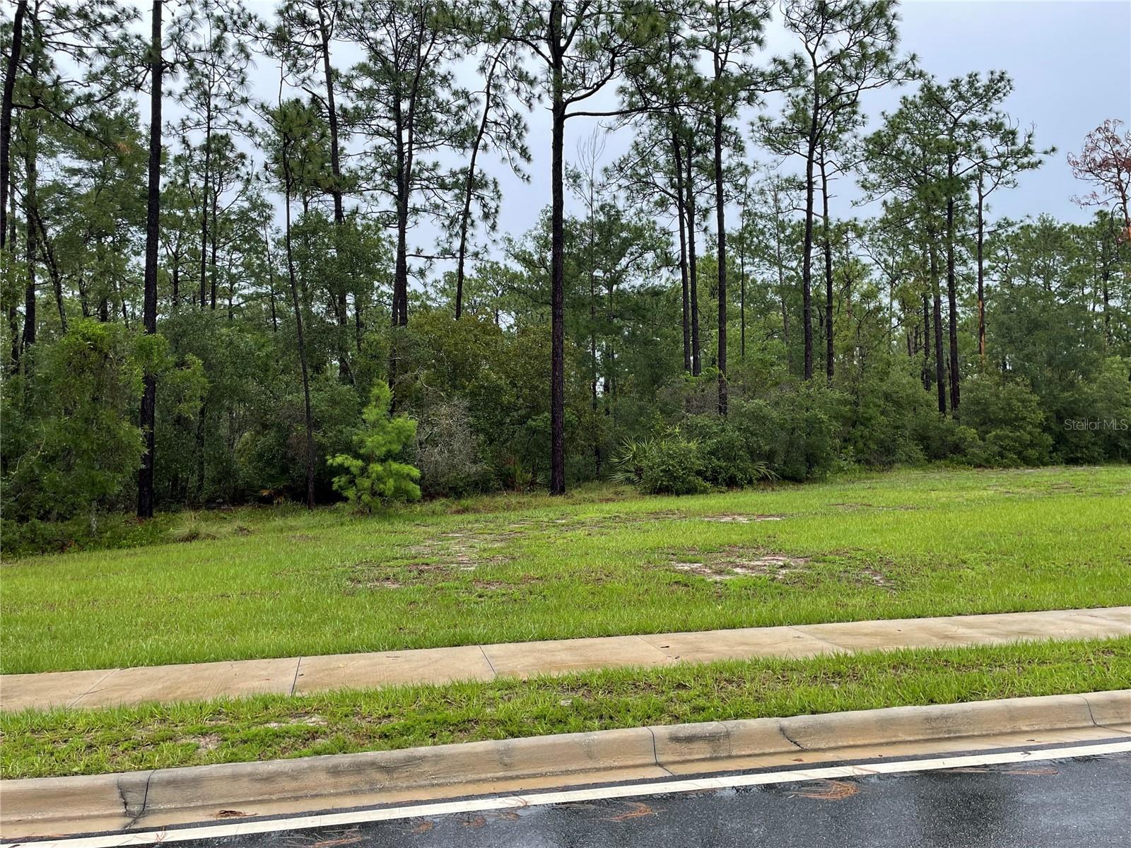 VIRGINIA (PAPER) AVE, DELTONA, FL — photo 3