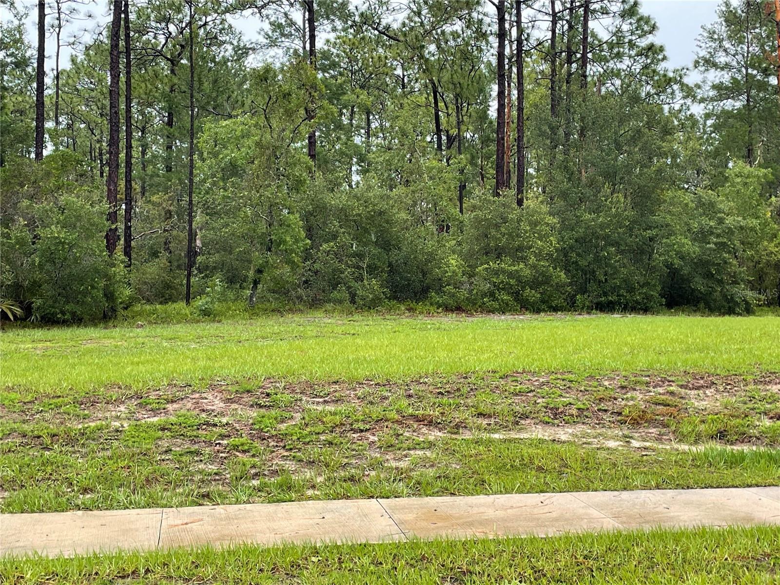 VIRGINIA (PAPER) AVE, DELTONA, FL — photo 4