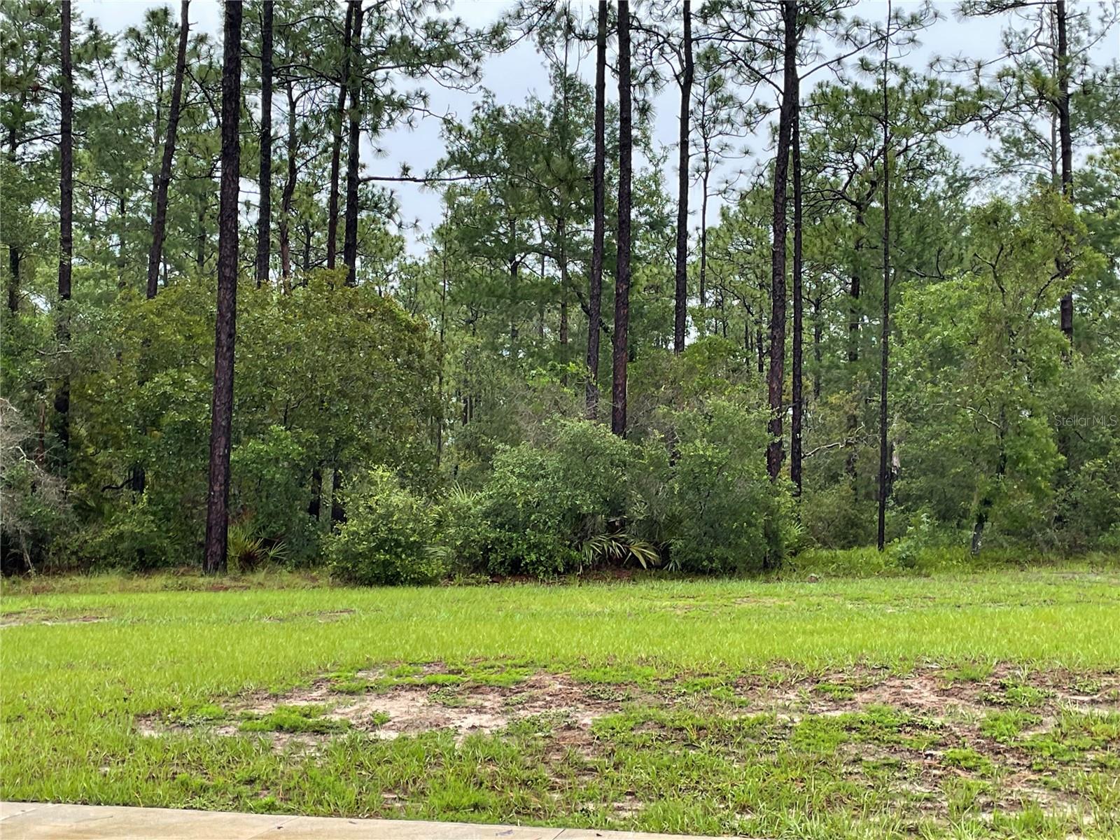 VIRGINIA (PAPER) AVE, DELTONA, FL — photo 6