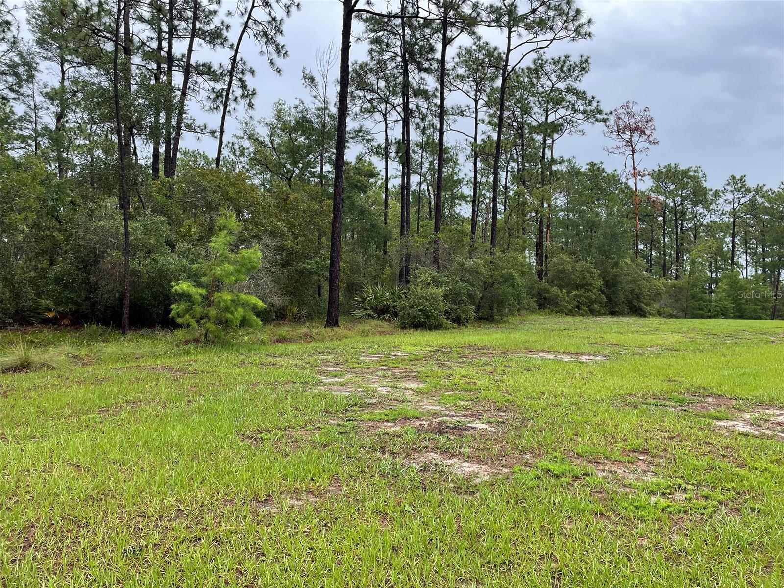 VIRGINIA (PAPER) AVE, DELTONA, FL — photo 8