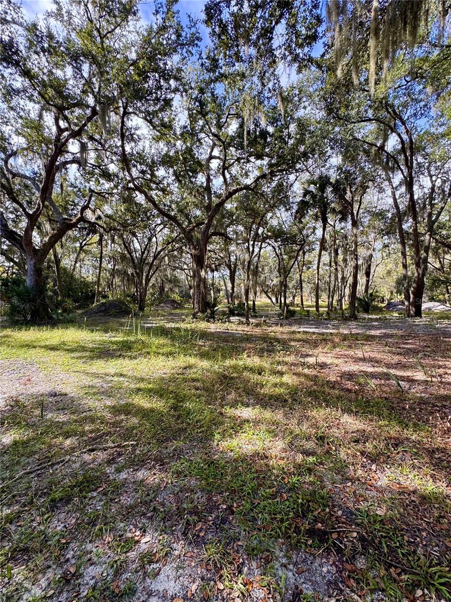 0 CLINTON CEMETERY RD., EDGEWATER, FL — photo 25