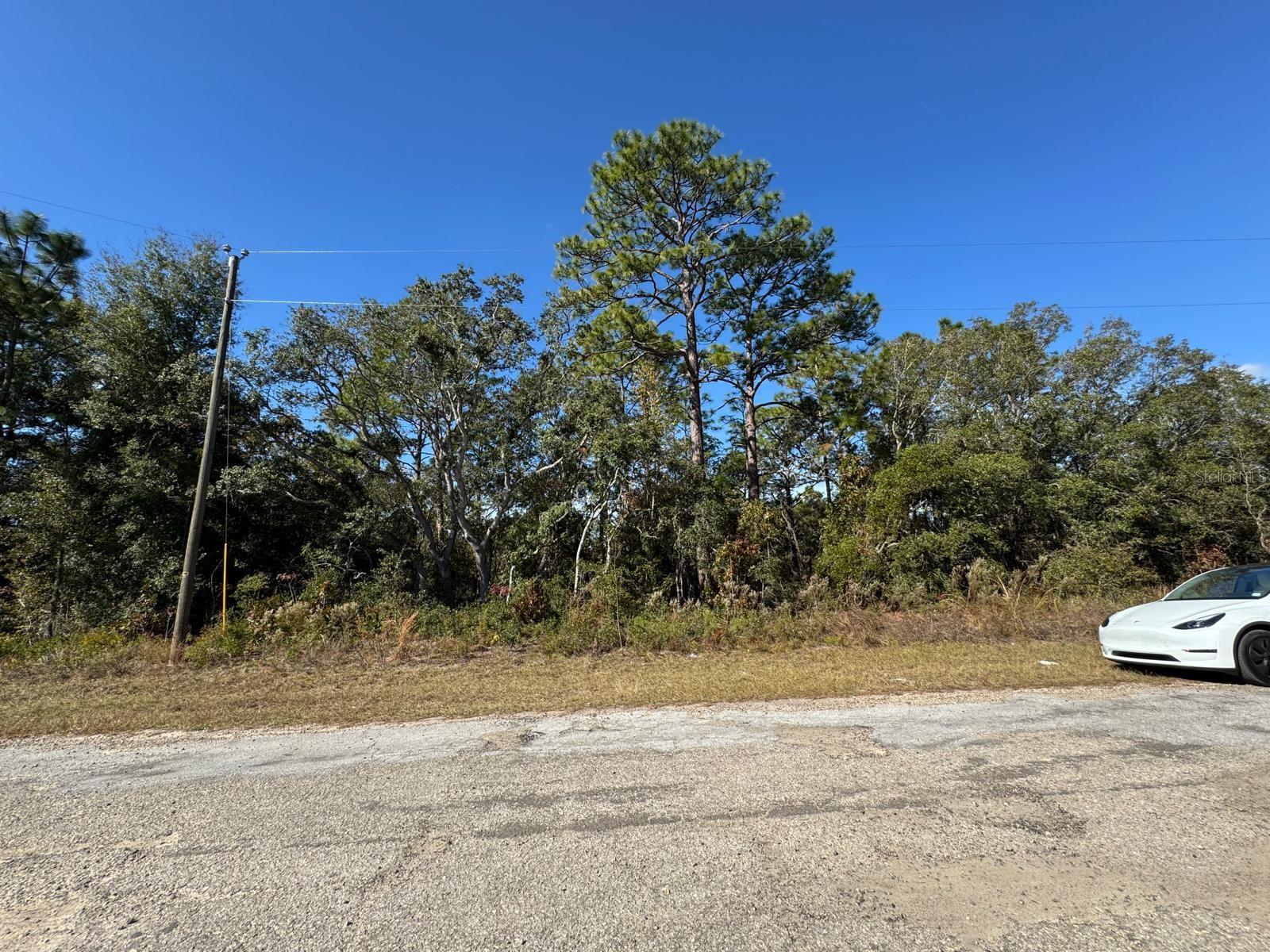 9066 N BURMANY WAY #6, CITRUS SPRINGS, FL — photo 2
