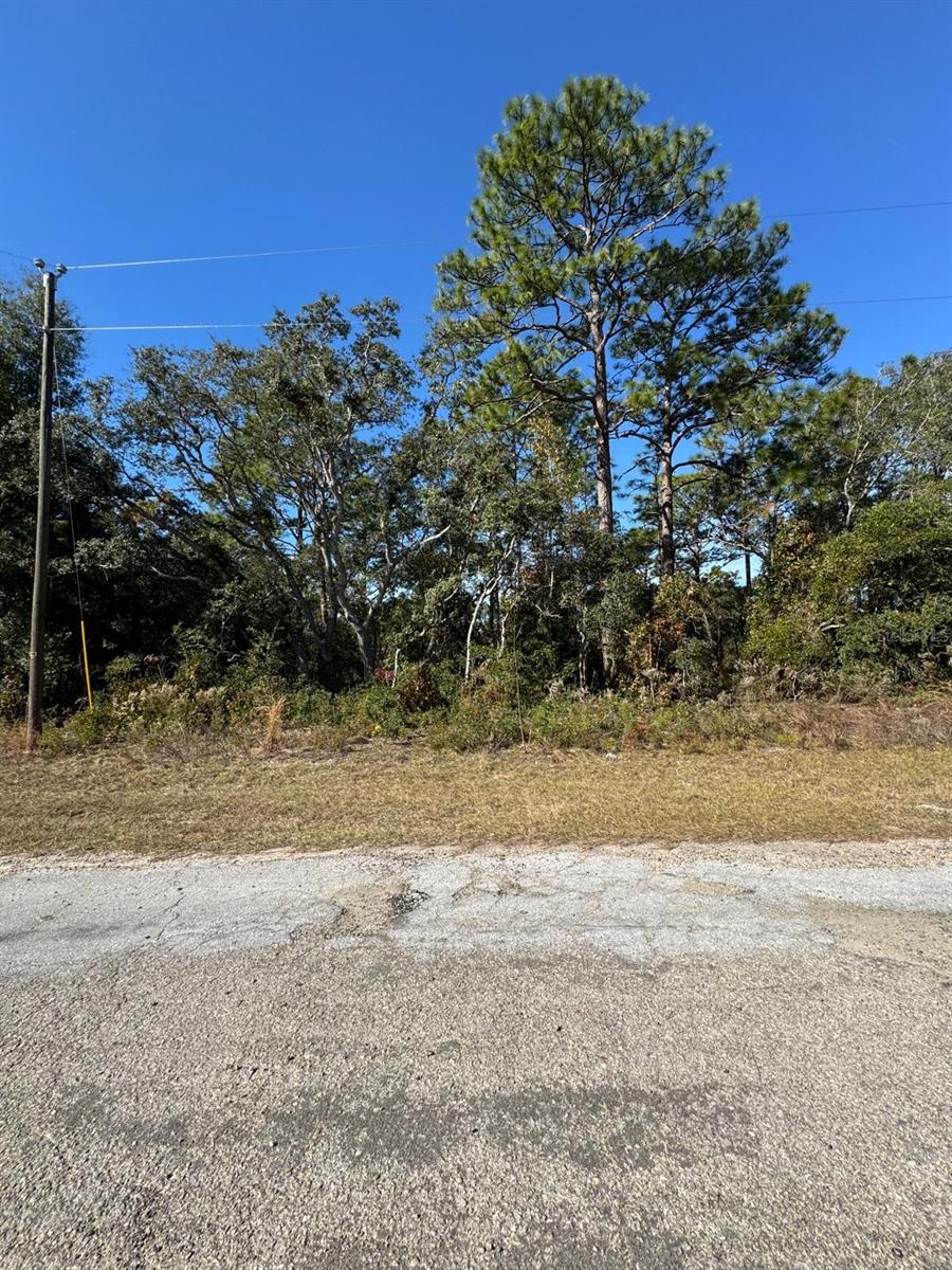 9066 N BURMANY WAY #6, CITRUS SPRINGS, FL — photo 3
