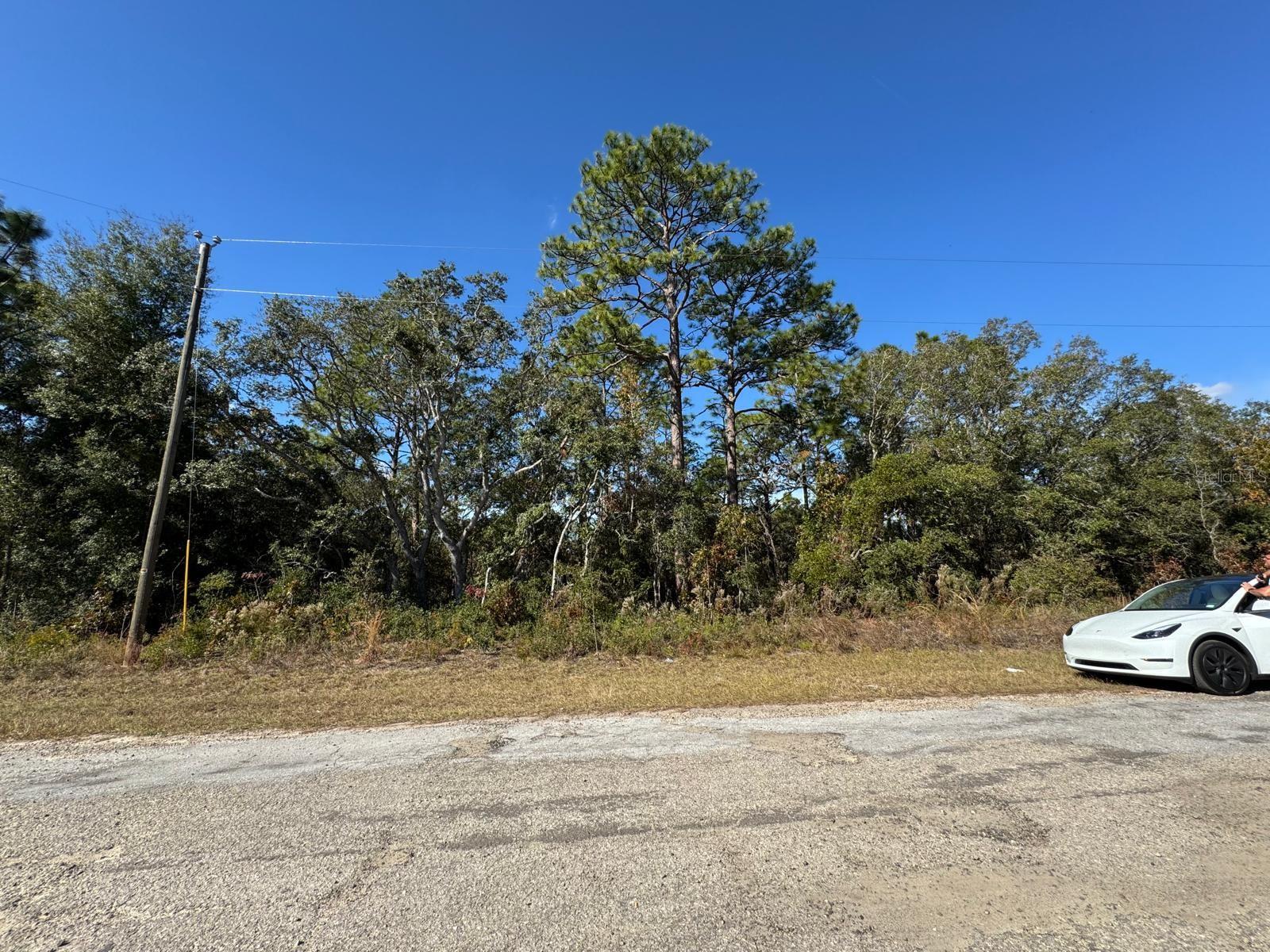 9066 N BURMANY WAY #6, CITRUS SPRINGS, FL — photo 4