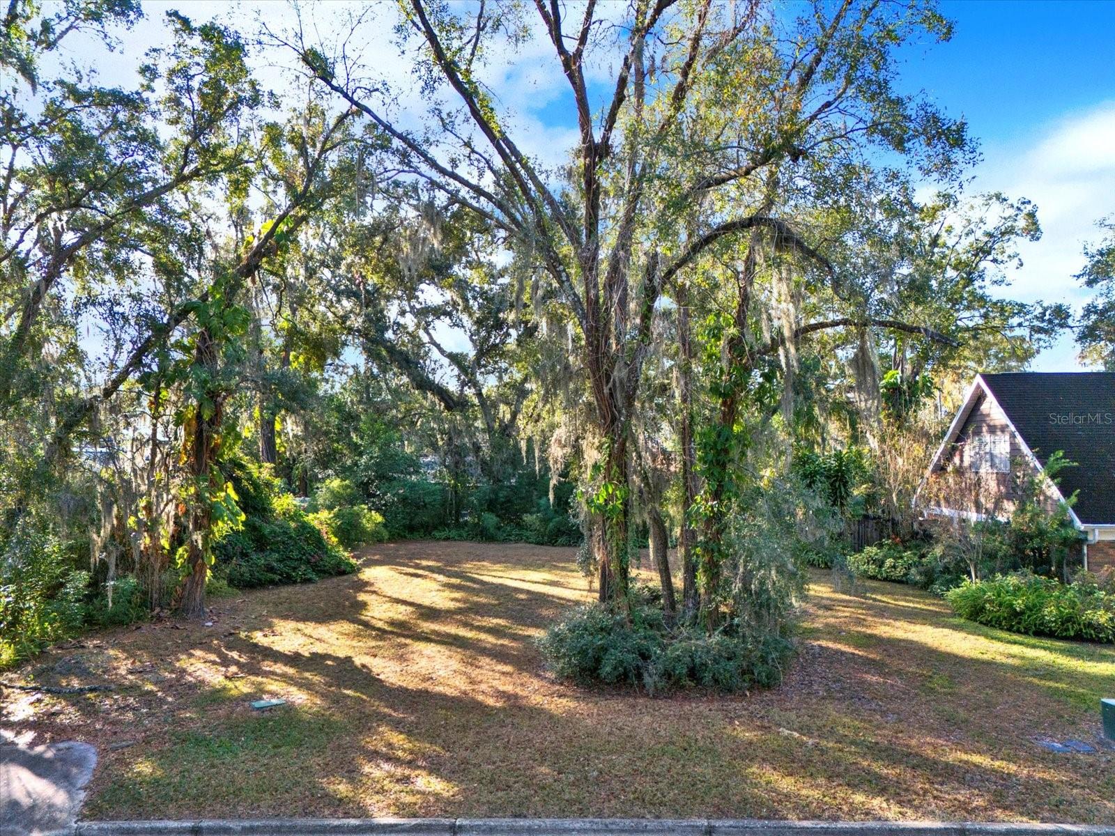 1113 N RIVERHILLS DR, TEMPLE TERRACE, FL