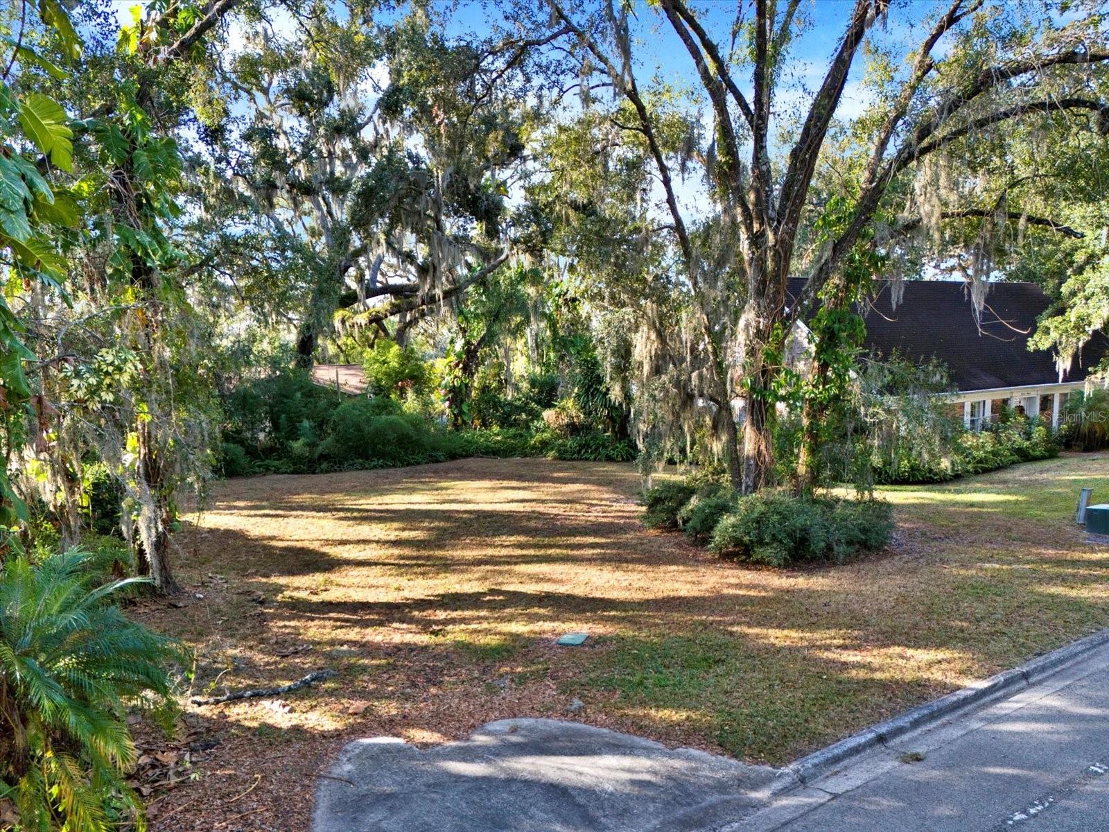 1113 N RIVERHILLS DR, TEMPLE TERRACE, FL — photo 2