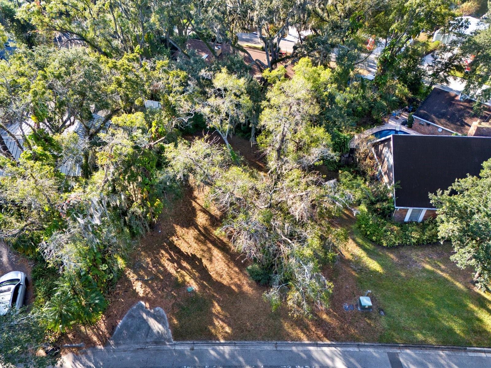 1113 N RIVERHILLS DR, TEMPLE TERRACE, FL — photo 3