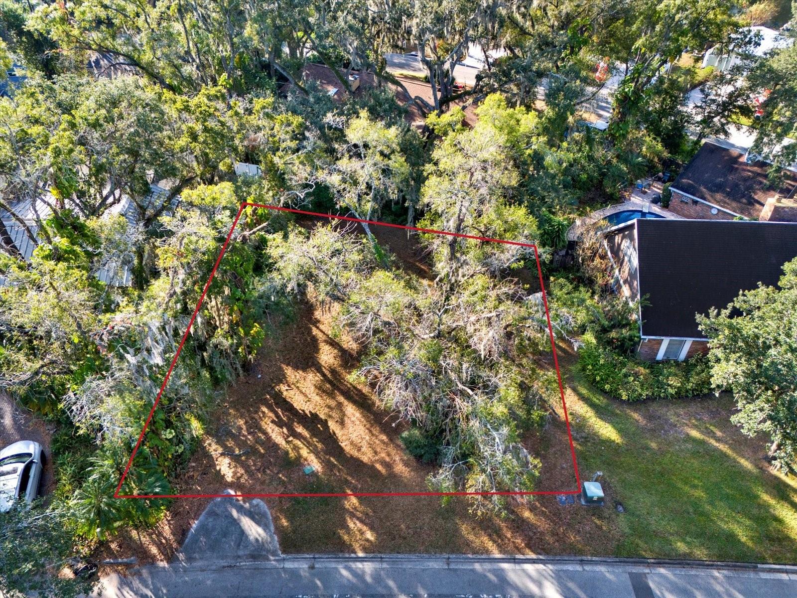1113 N RIVERHILLS DR, TEMPLE TERRACE, FL — photo 4