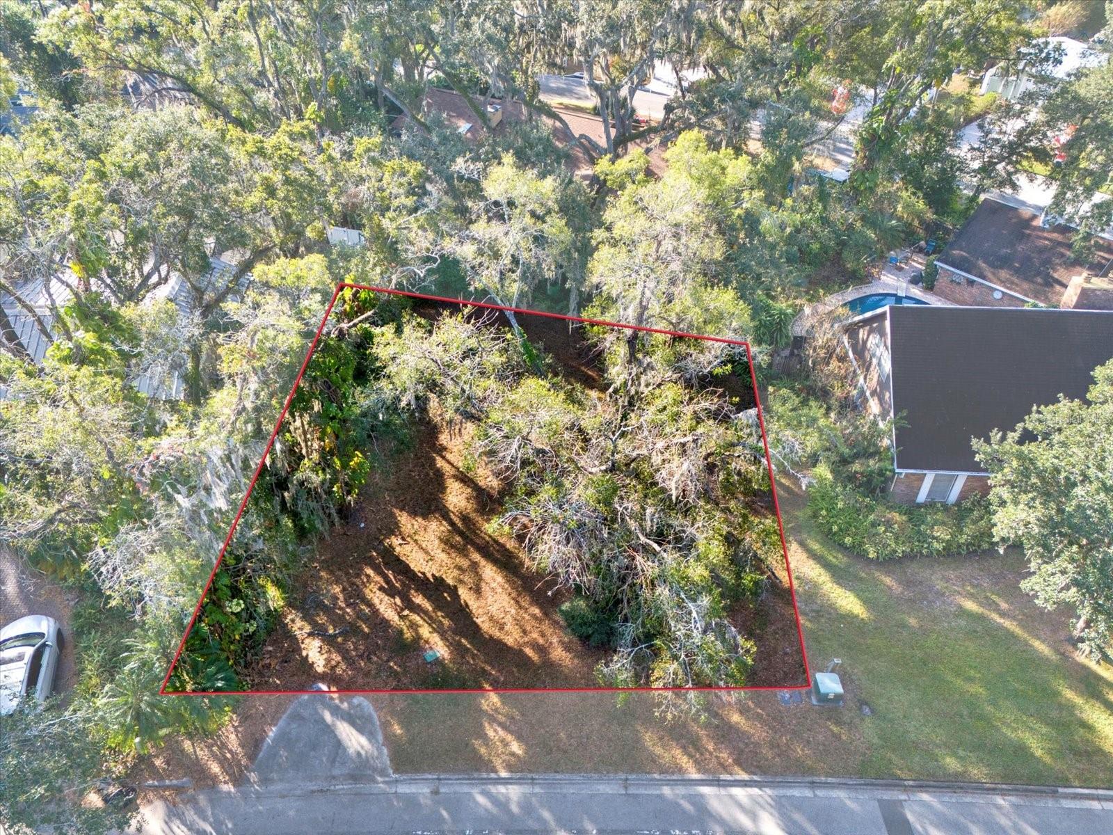 1113 N RIVERHILLS DR, TEMPLE TERRACE, FL — photo 5