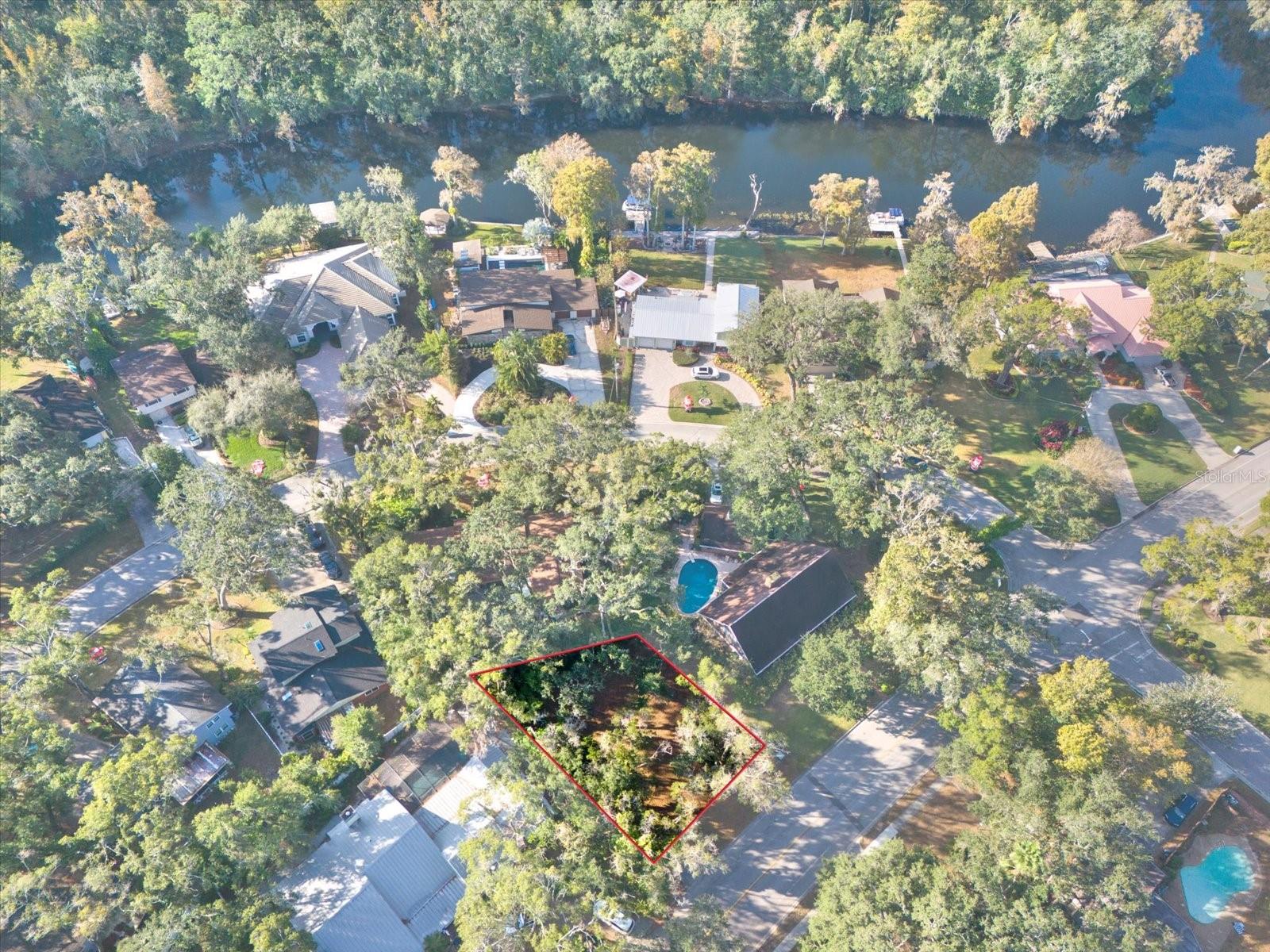 1113 N RIVERHILLS DR, TEMPLE TERRACE, FL — photo 8