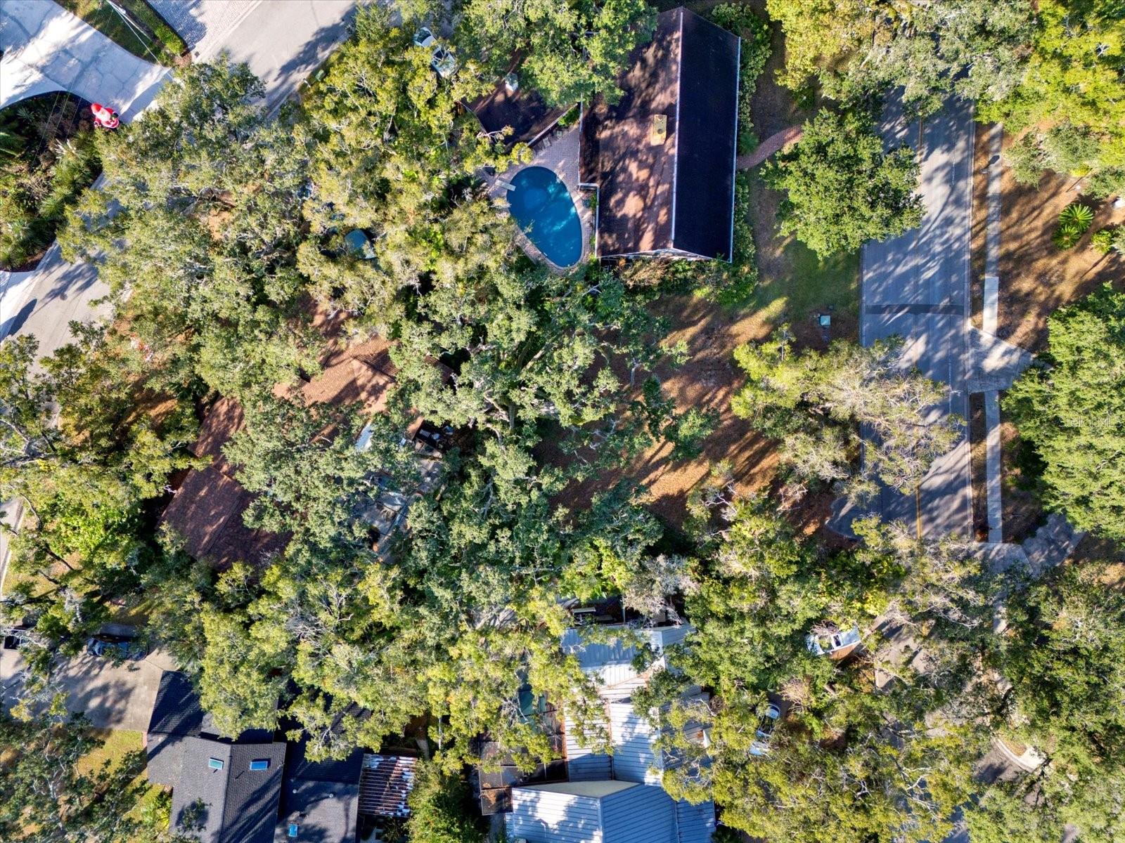 1113 N RIVERHILLS DR, TEMPLE TERRACE, FL — photo 9