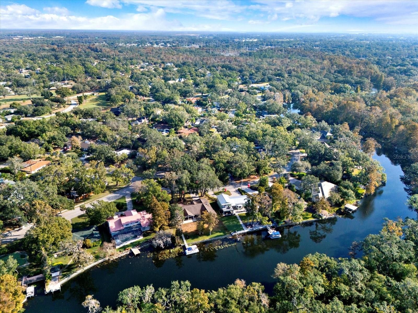 1113 N RIVERHILLS DR, TEMPLE TERRACE, FL — photo 12