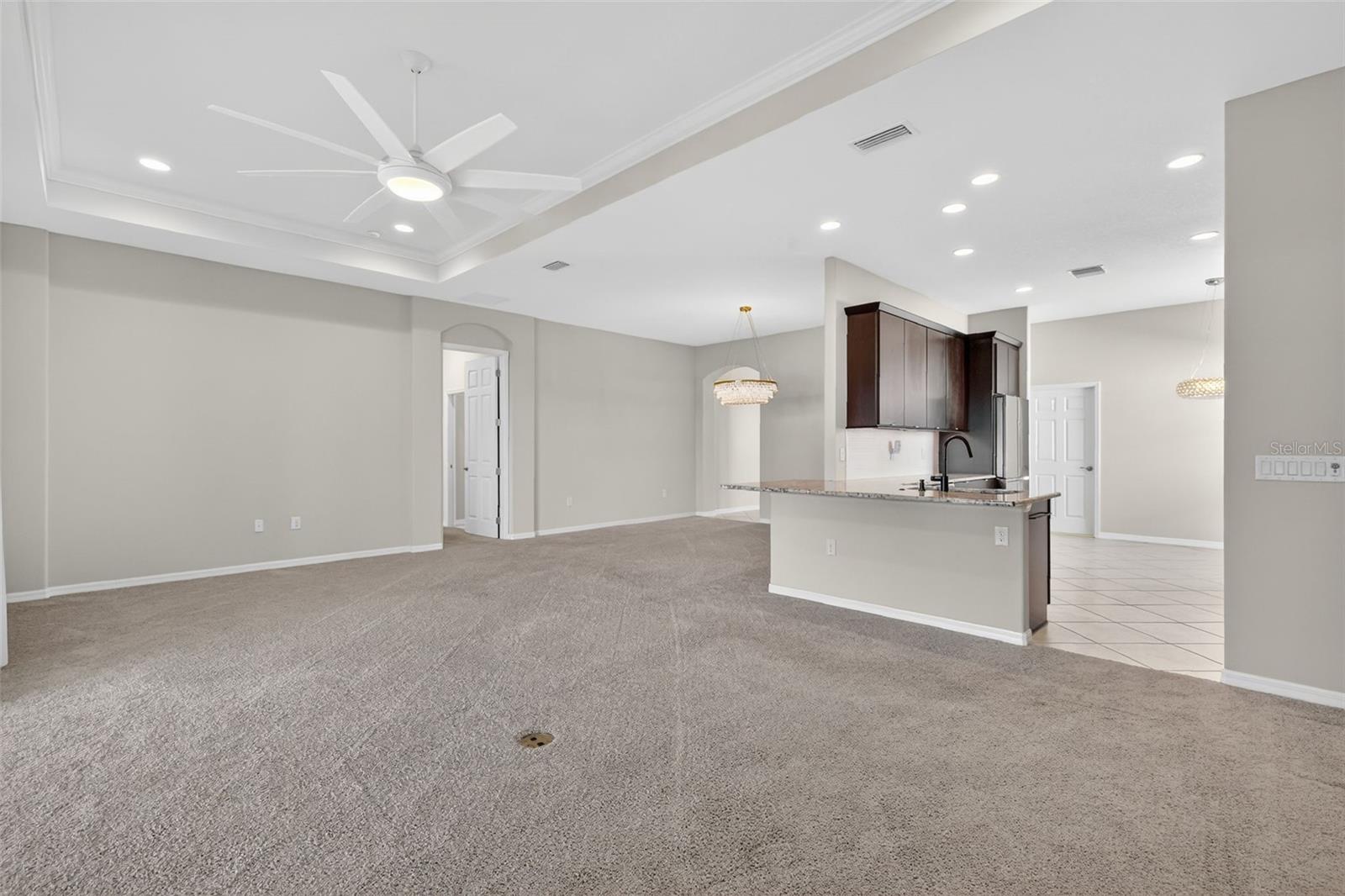2389 PAWTUCKET PASS, MOUNT DORA, FL — photo 23