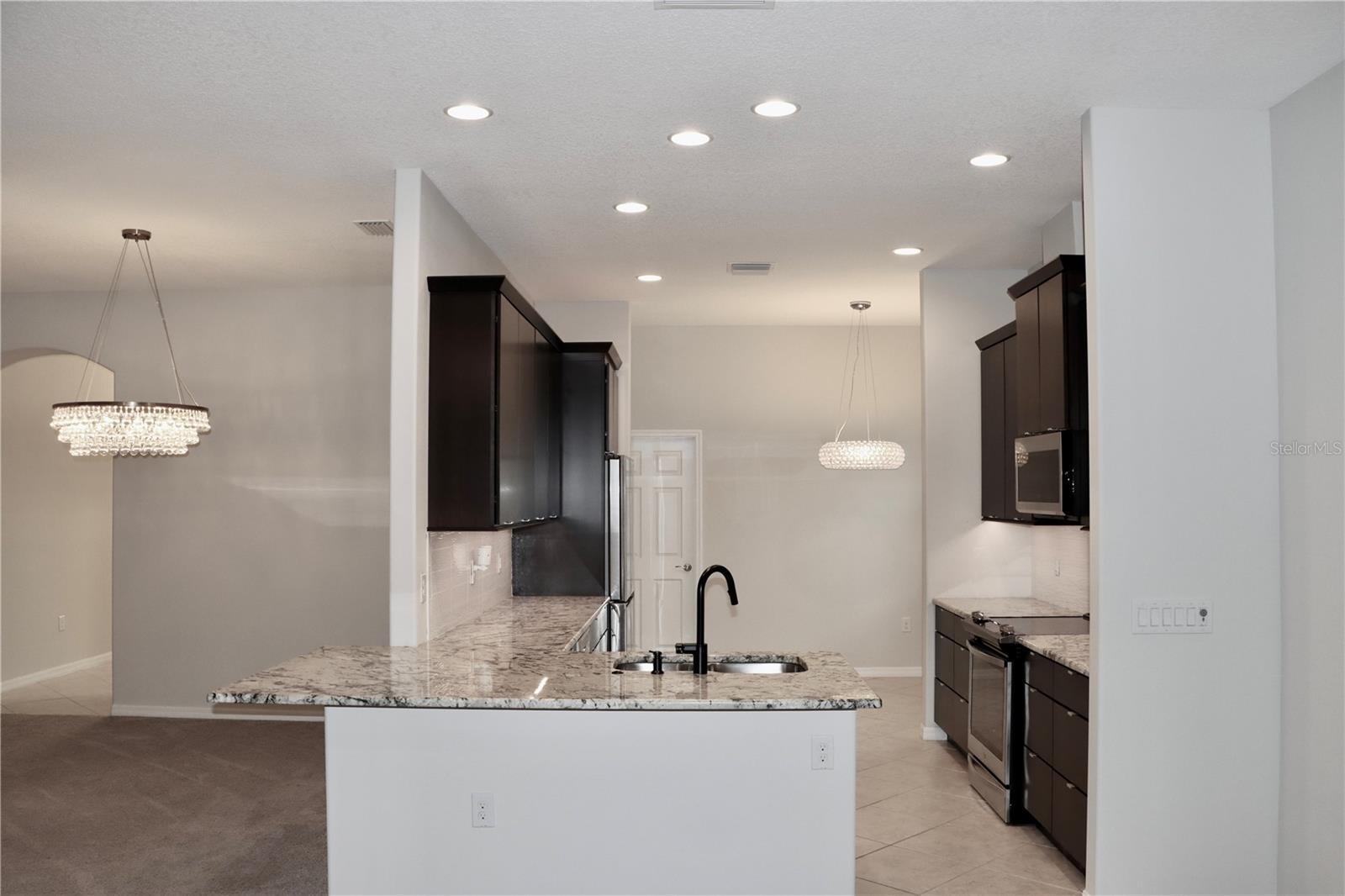 2389 PAWTUCKET PASS, MOUNT DORA, FL — photo 25