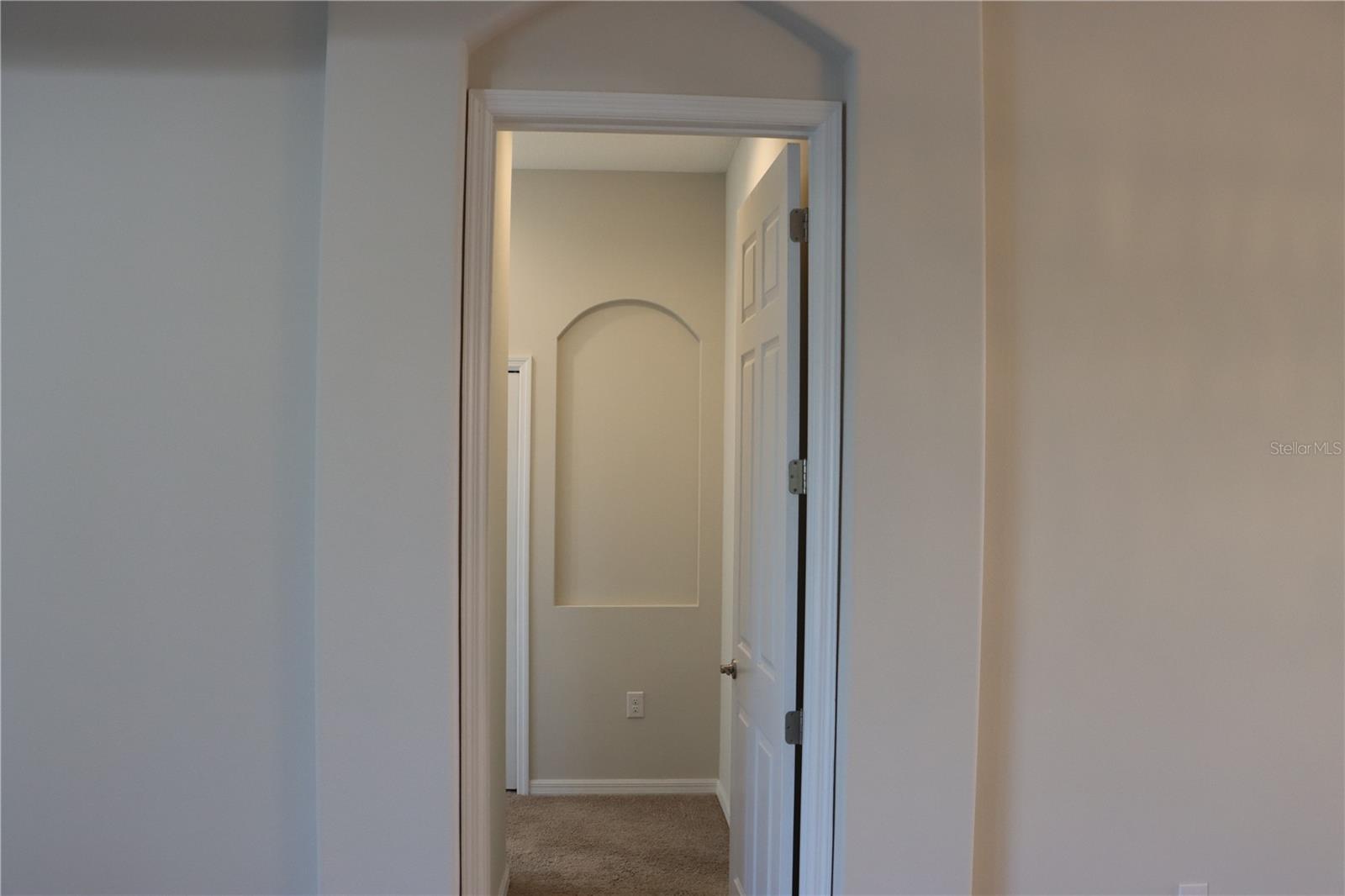 2389 PAWTUCKET PASS, MOUNT DORA, FL — photo 51