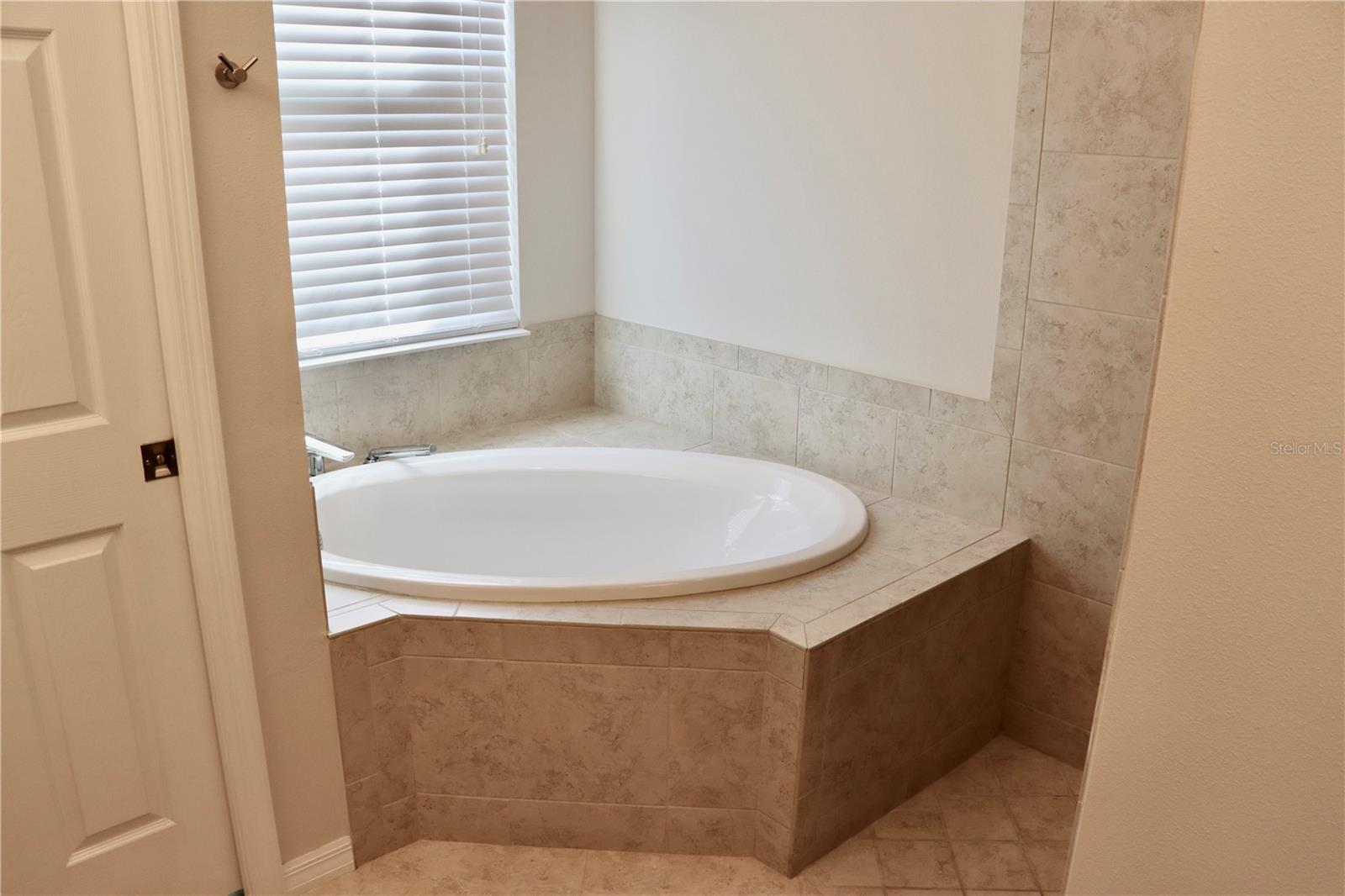 2389 PAWTUCKET PASS, MOUNT DORA, FL — photo 69