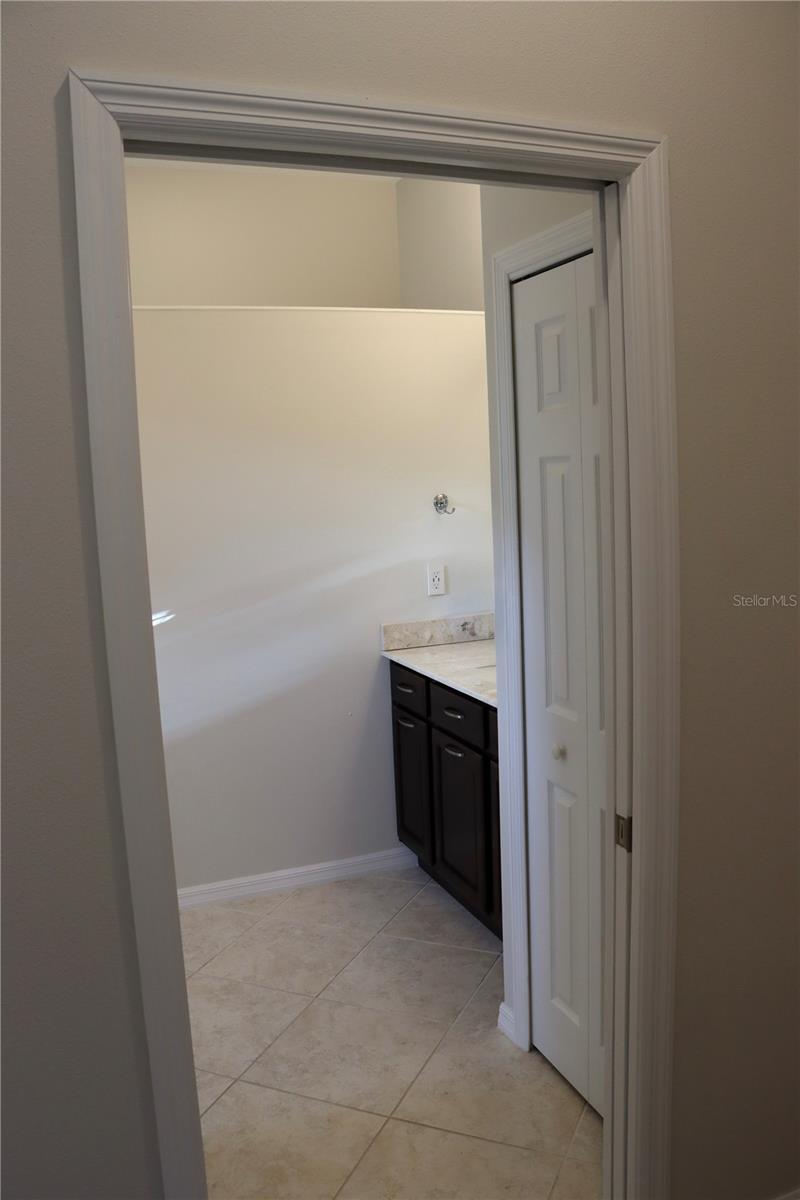 2389 PAWTUCKET PASS, MOUNT DORA, FL — photo 64
