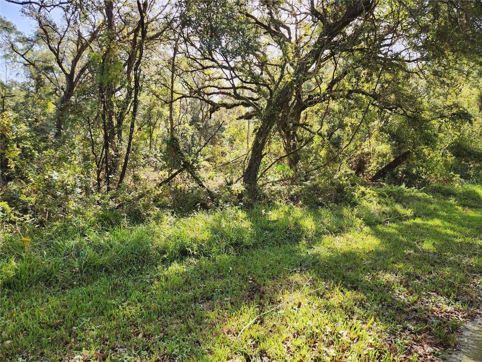 000 TABLE ROCK DR, WEBSTER, FL