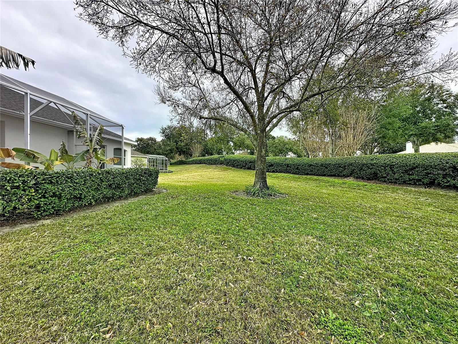 3914 ALLAMANDA CT, CLERMONT, FL — photo 82