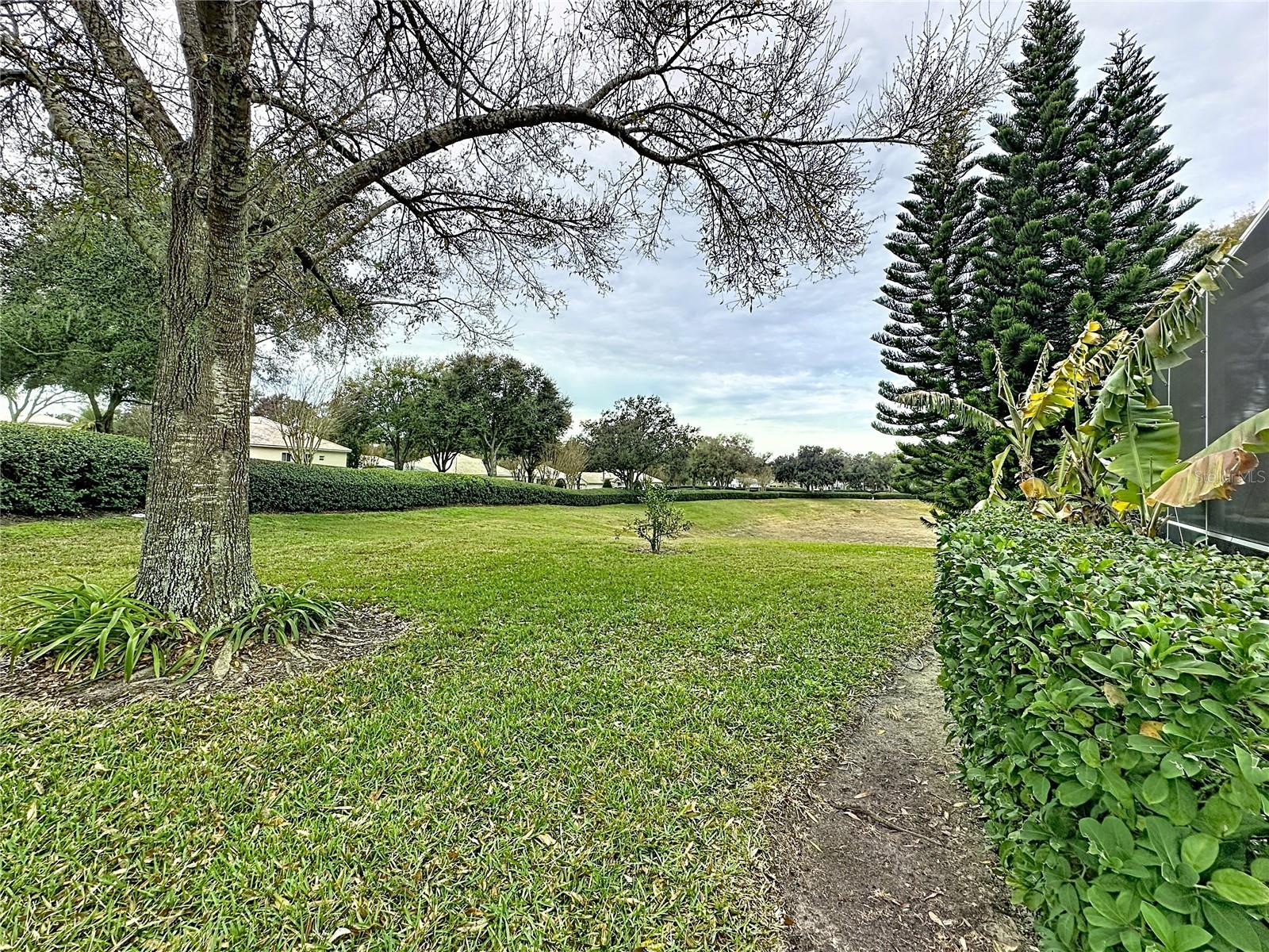 3914 ALLAMANDA CT, CLERMONT, FL — photo 83