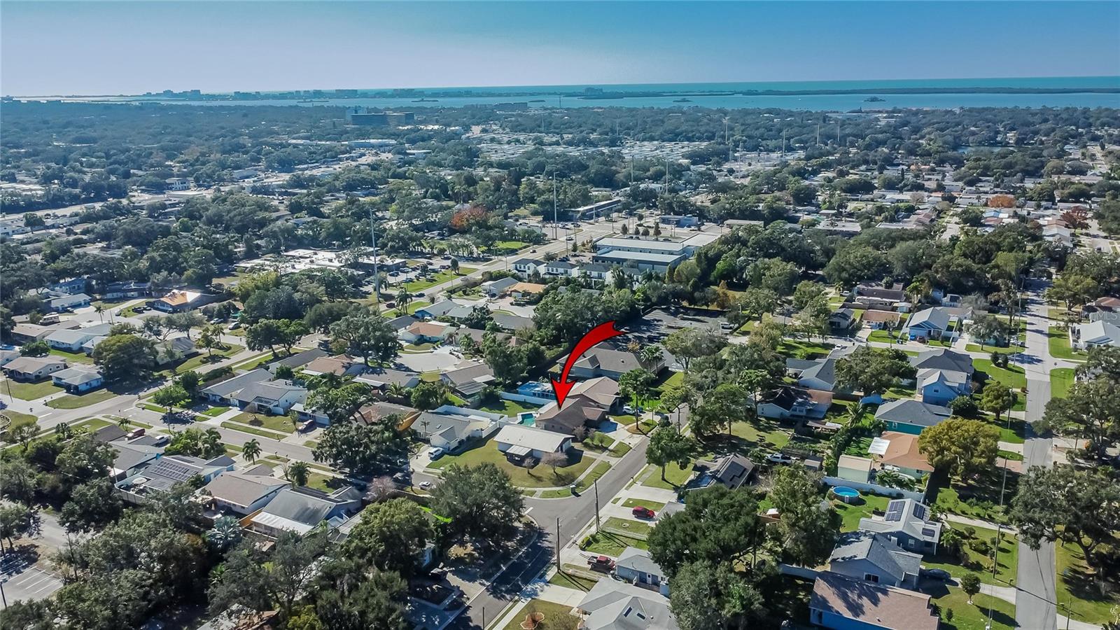 1241 OHIO AVE, DUNEDIN, FL — photo 34