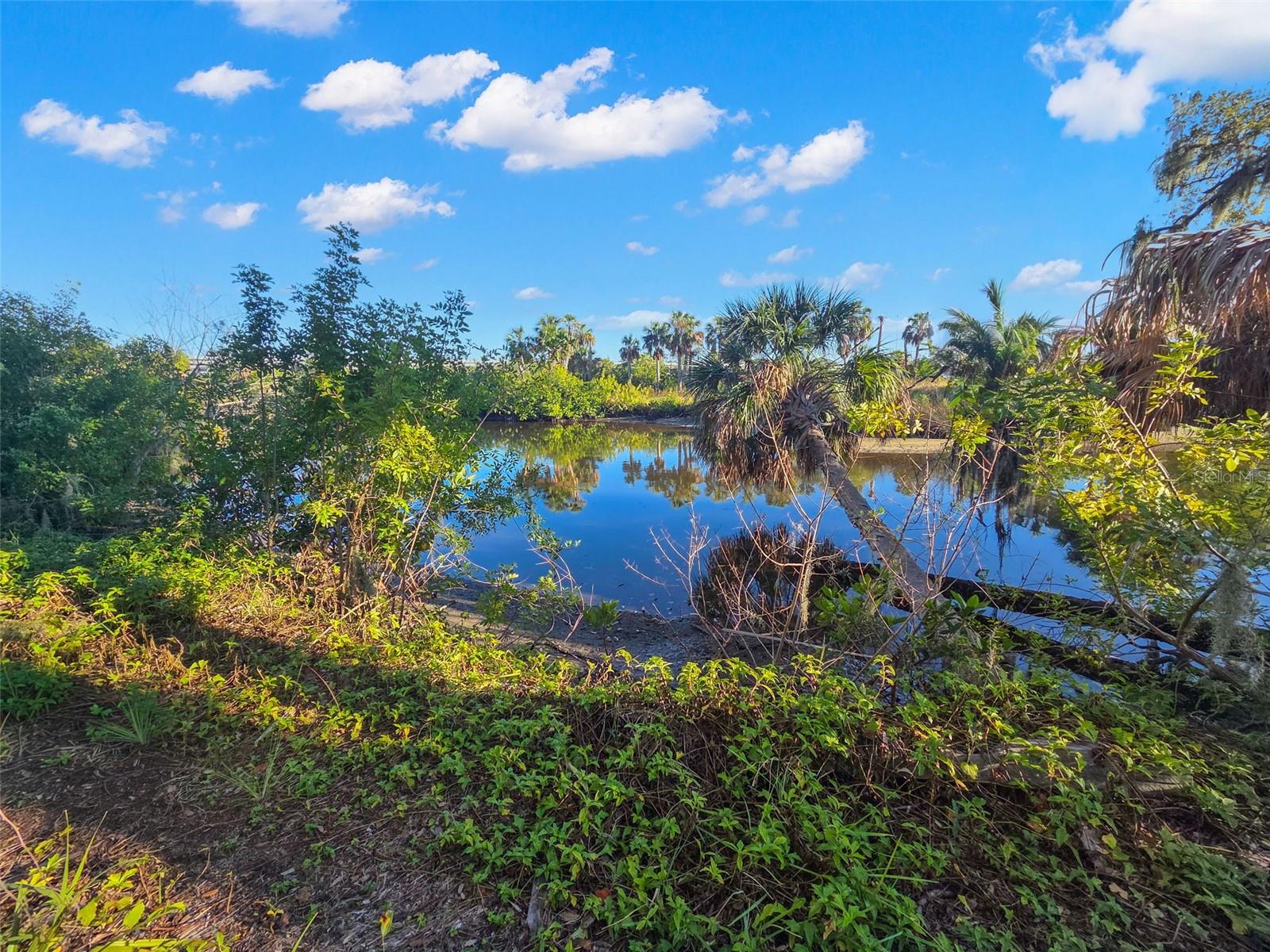 9511 RIVER COVE DR, RIVERVIEW, FL — photo 2