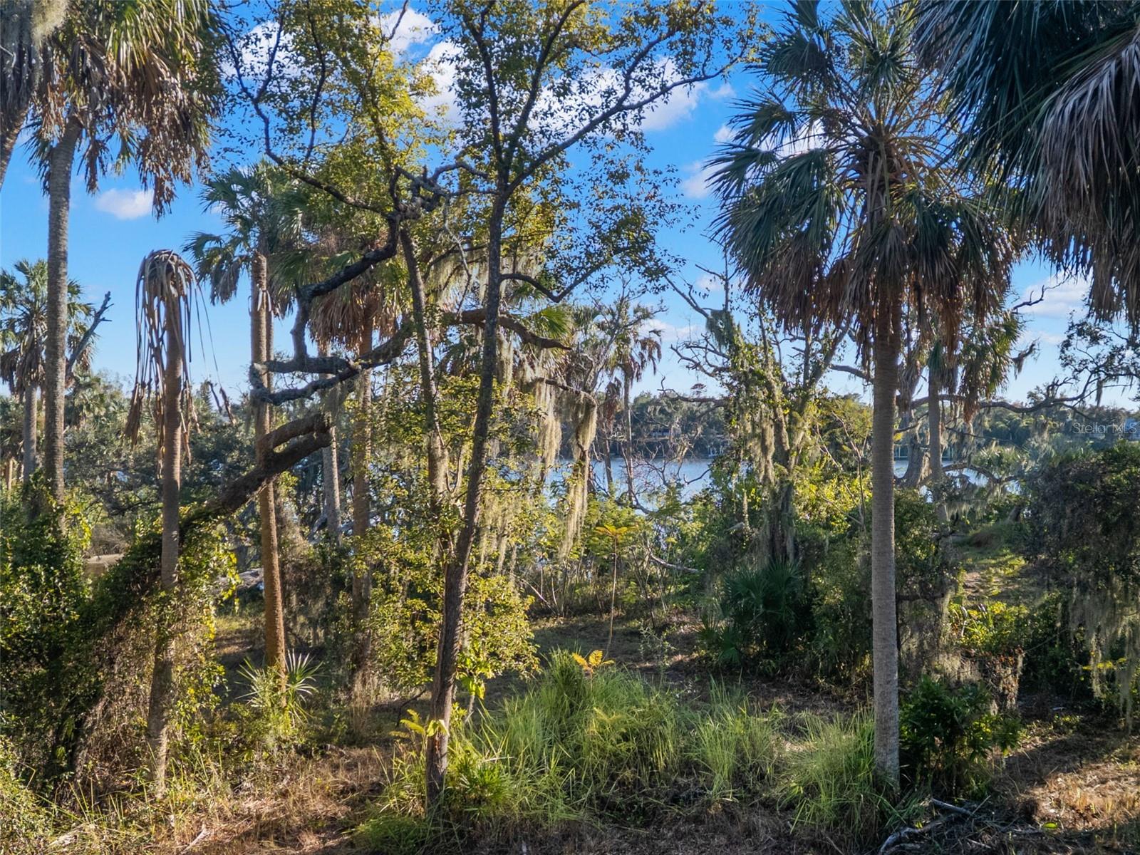 9511 RIVER COVE DR, RIVERVIEW, FL — photo 21