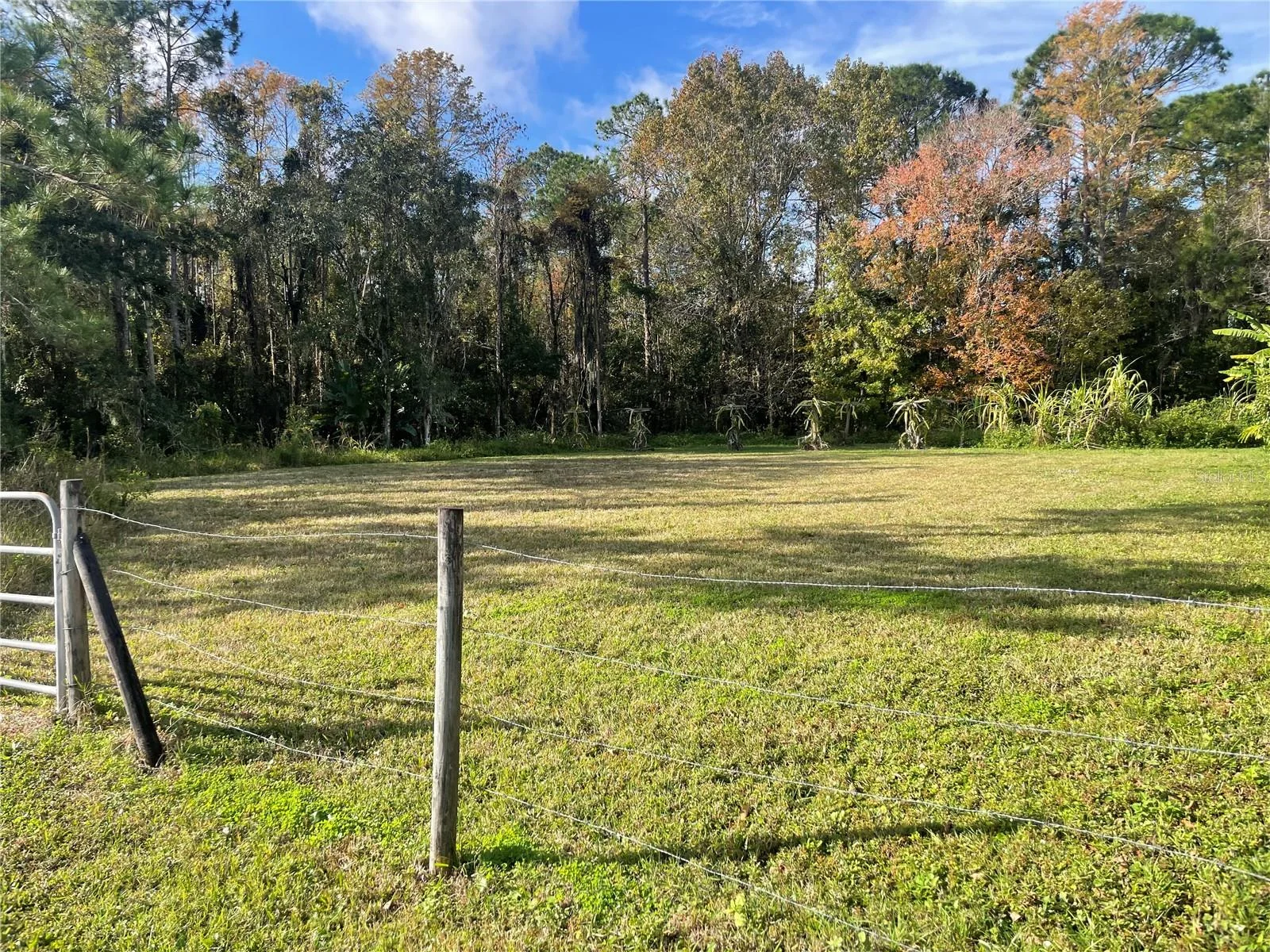 10548 FLOWERS AVE, ORLANDO, FL — photo 2