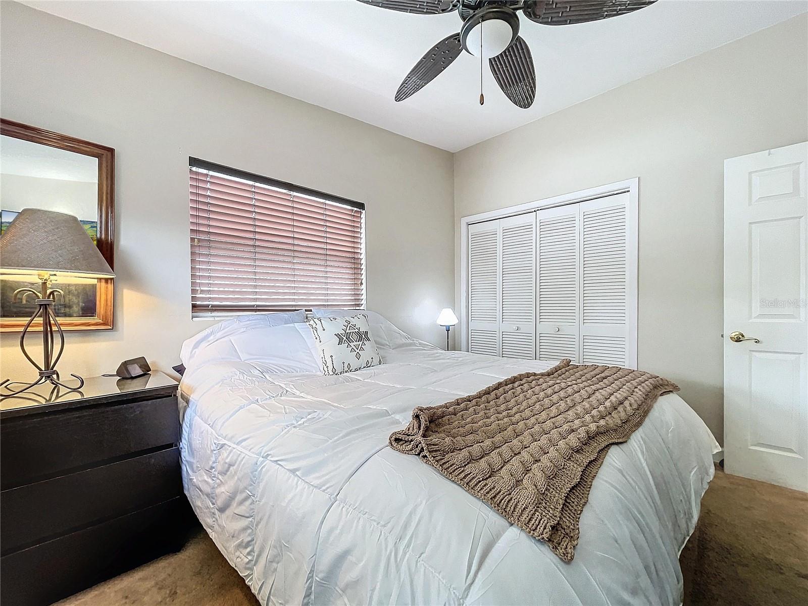 311 MORNINGSIDE DR, PALM HARBOR, FL — photo 25