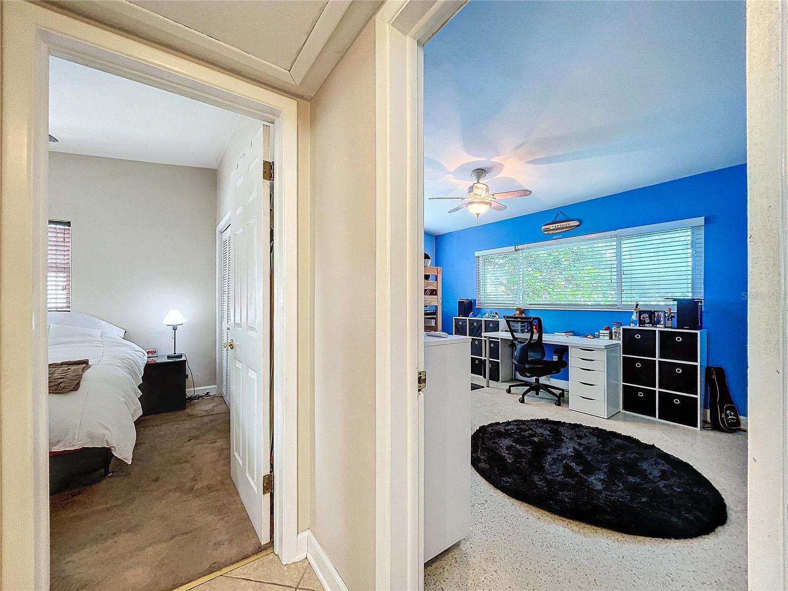 311 MORNINGSIDE DR, PALM HARBOR, FL — photo 27