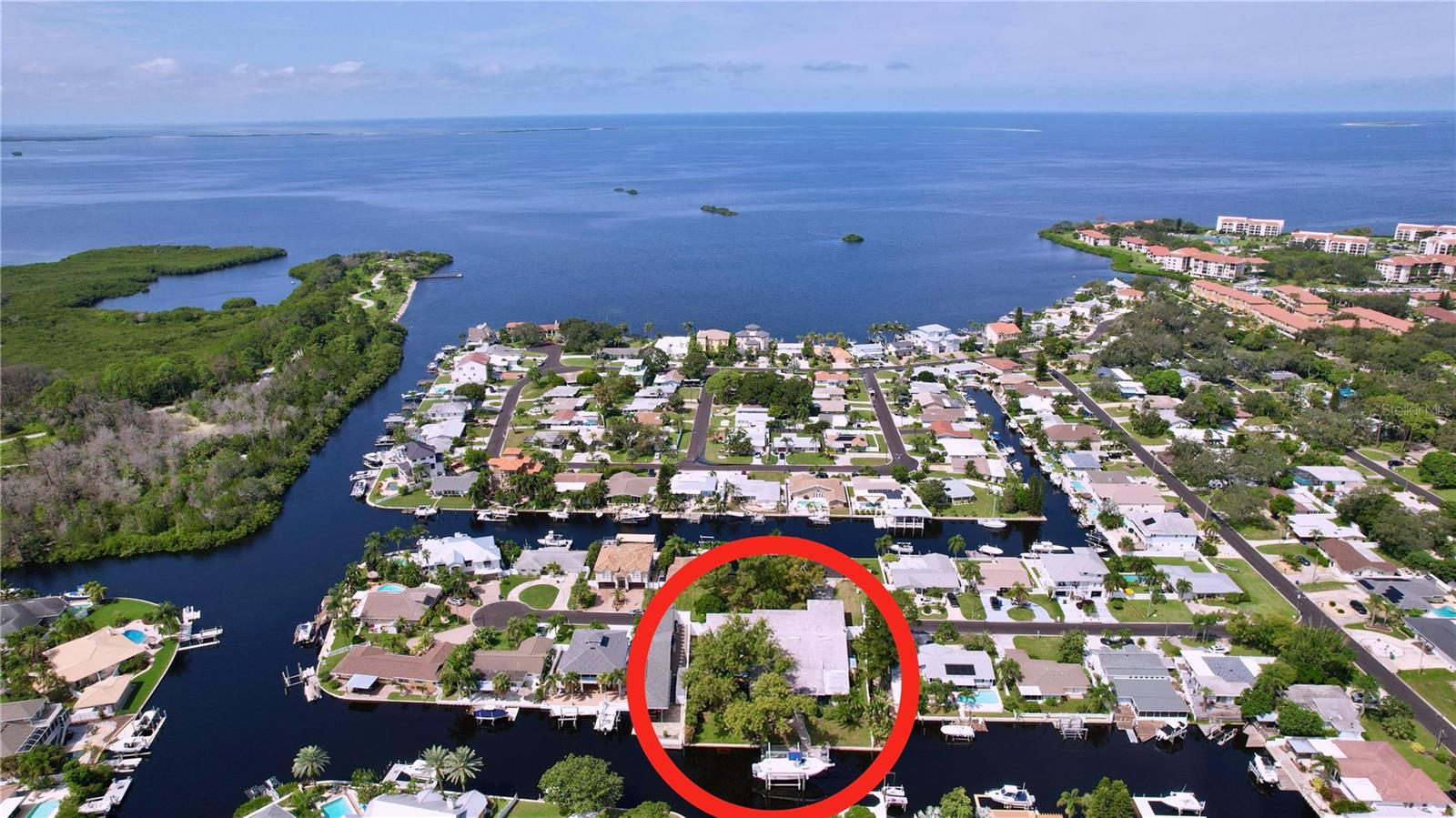 311 MORNINGSIDE DR, PALM HARBOR, FL — photo 44