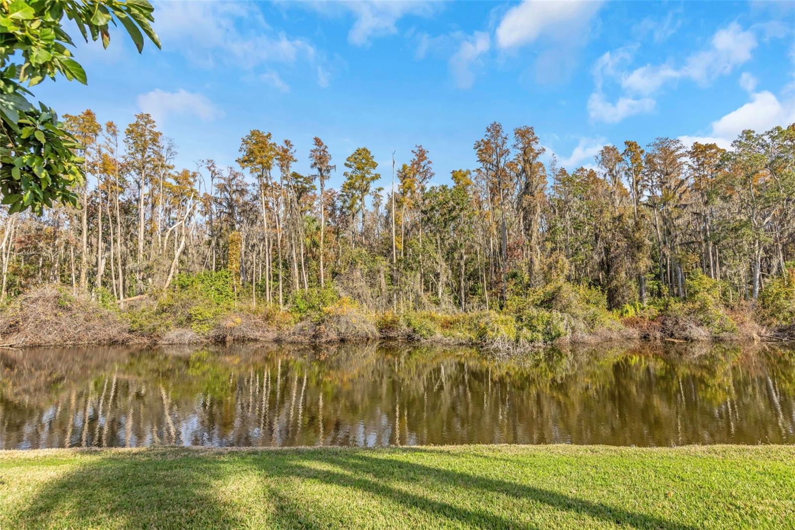 2024 HEATHFIELD CIR #155, SUN CITY CENTER, FL — photo 2