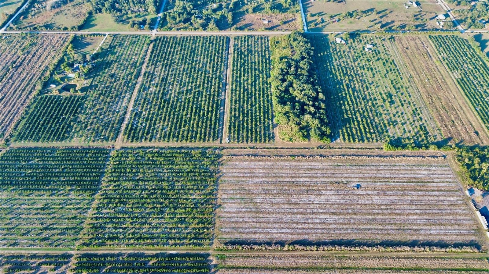 2205 HICKS RD, LORIDA, FL — photo 2