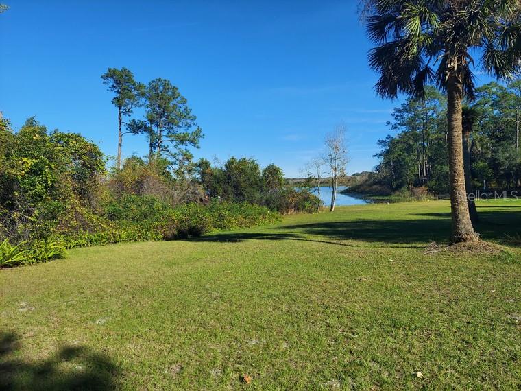 251 N BLUE LAKE AVE, DELAND, FL — photo 58