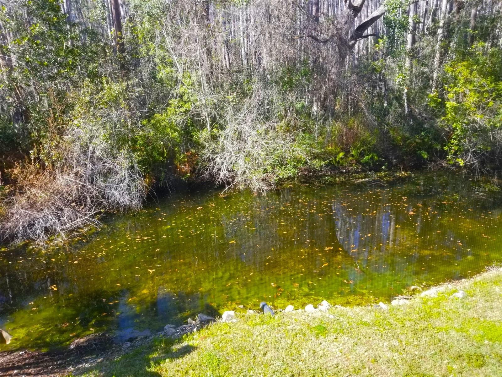 2051 VISTA DEL SOL CIR #201, LUTZ, FL — photo 17